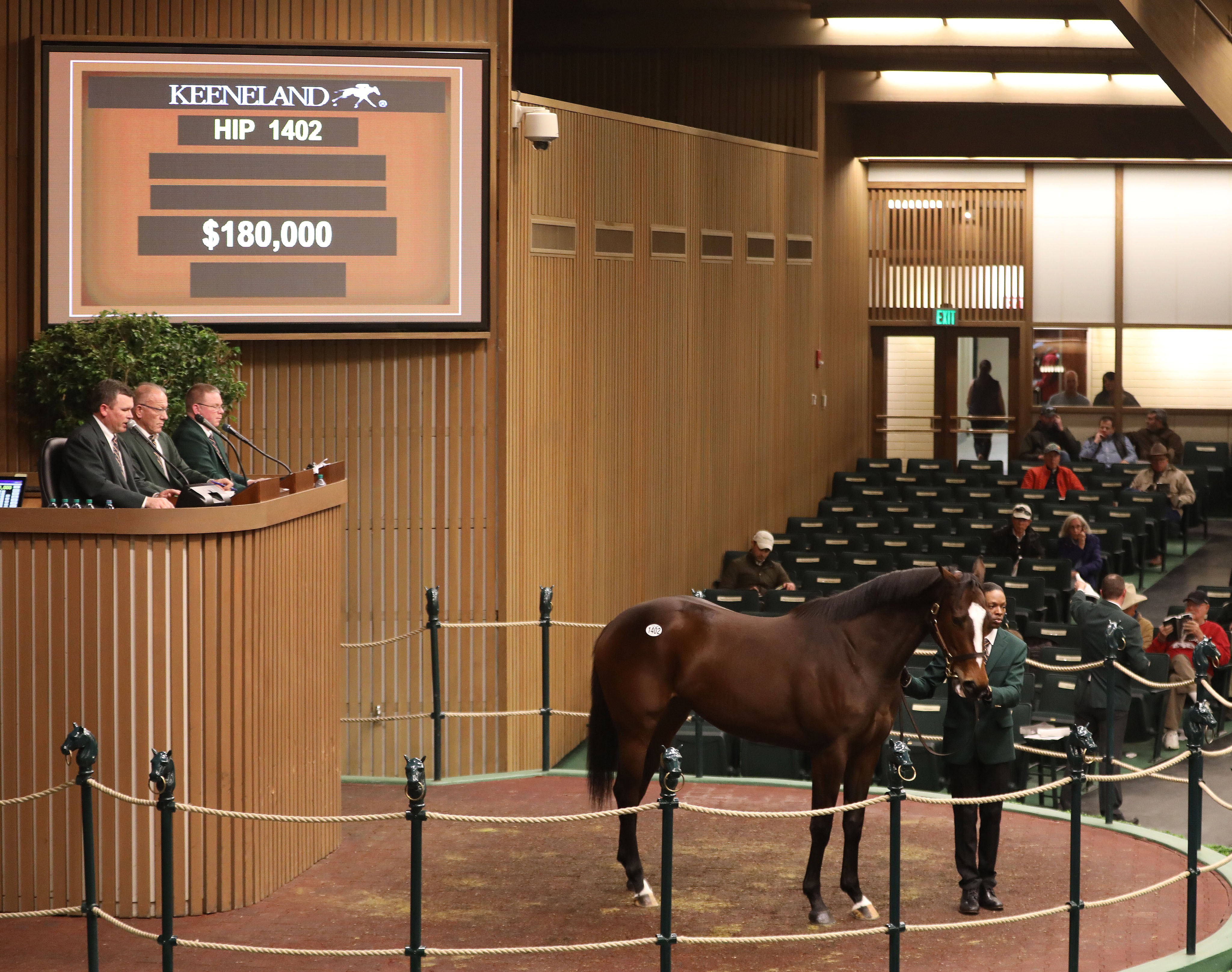 Electricita Hip 1402 sells at the 2020 Keeneland January sale