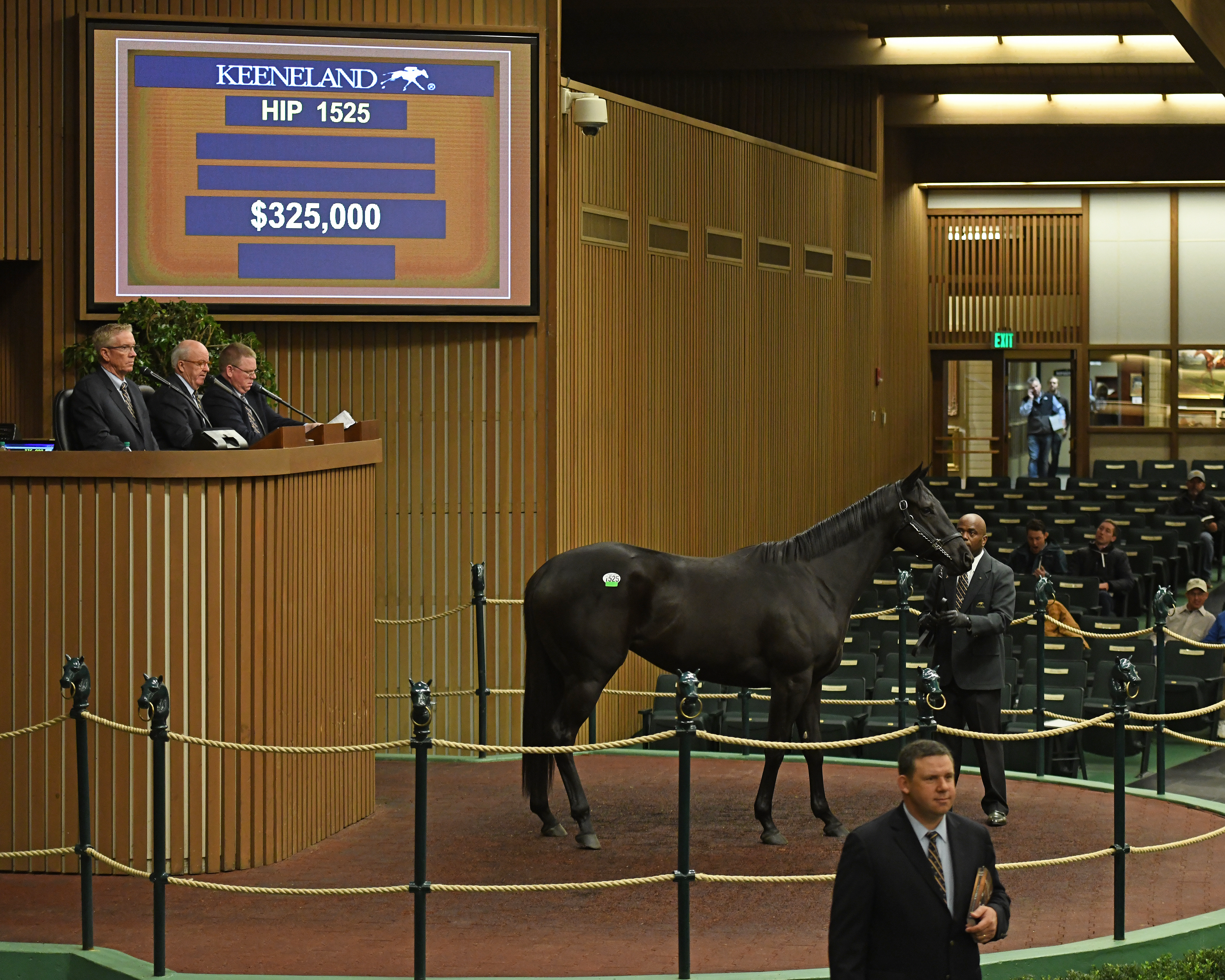 Lark Rise sells on 11.10.19 at Keeneland November