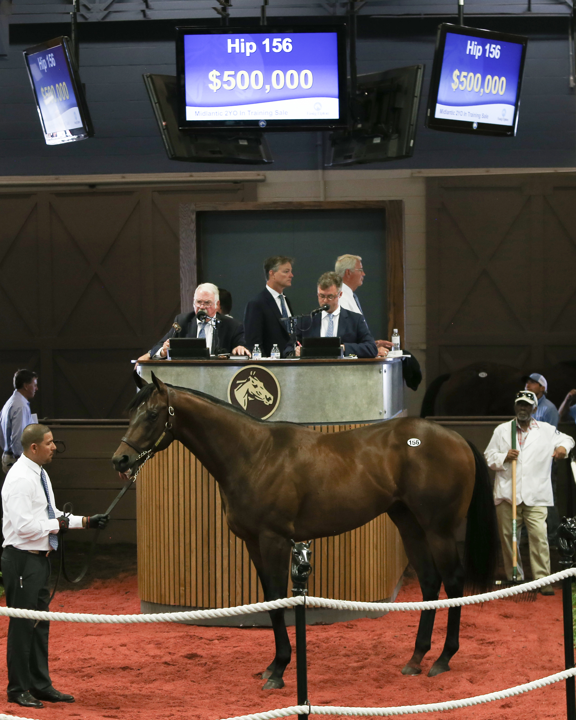Hip 156 by Street Sense sells at the 2019 Fasig-Tipton Midlantic sale