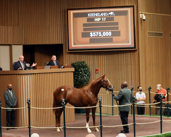 Hijo de Speightstown fue vendido en $575,000 en Keeneland Septiembre