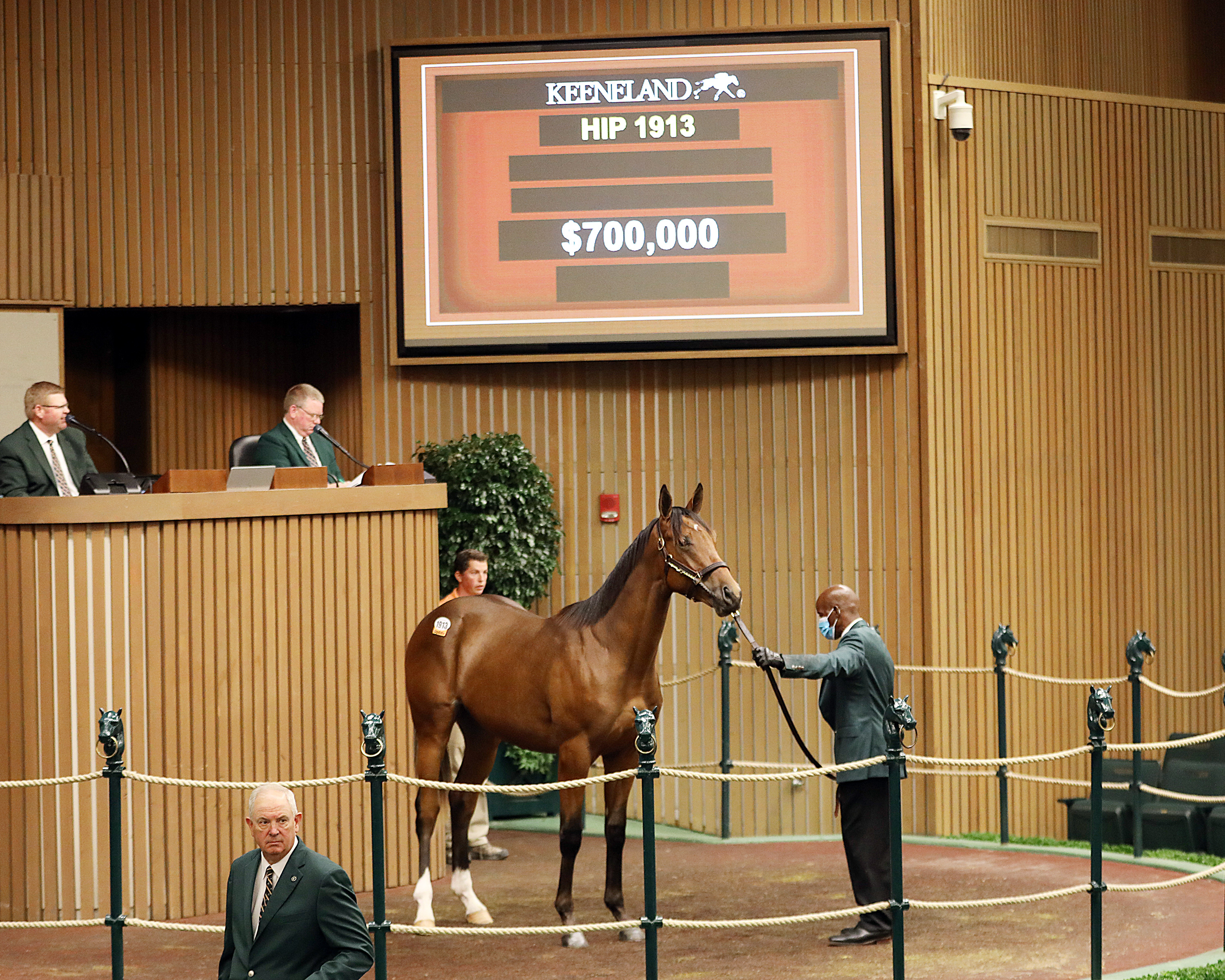 City of Light colt/Keeneland Book 3