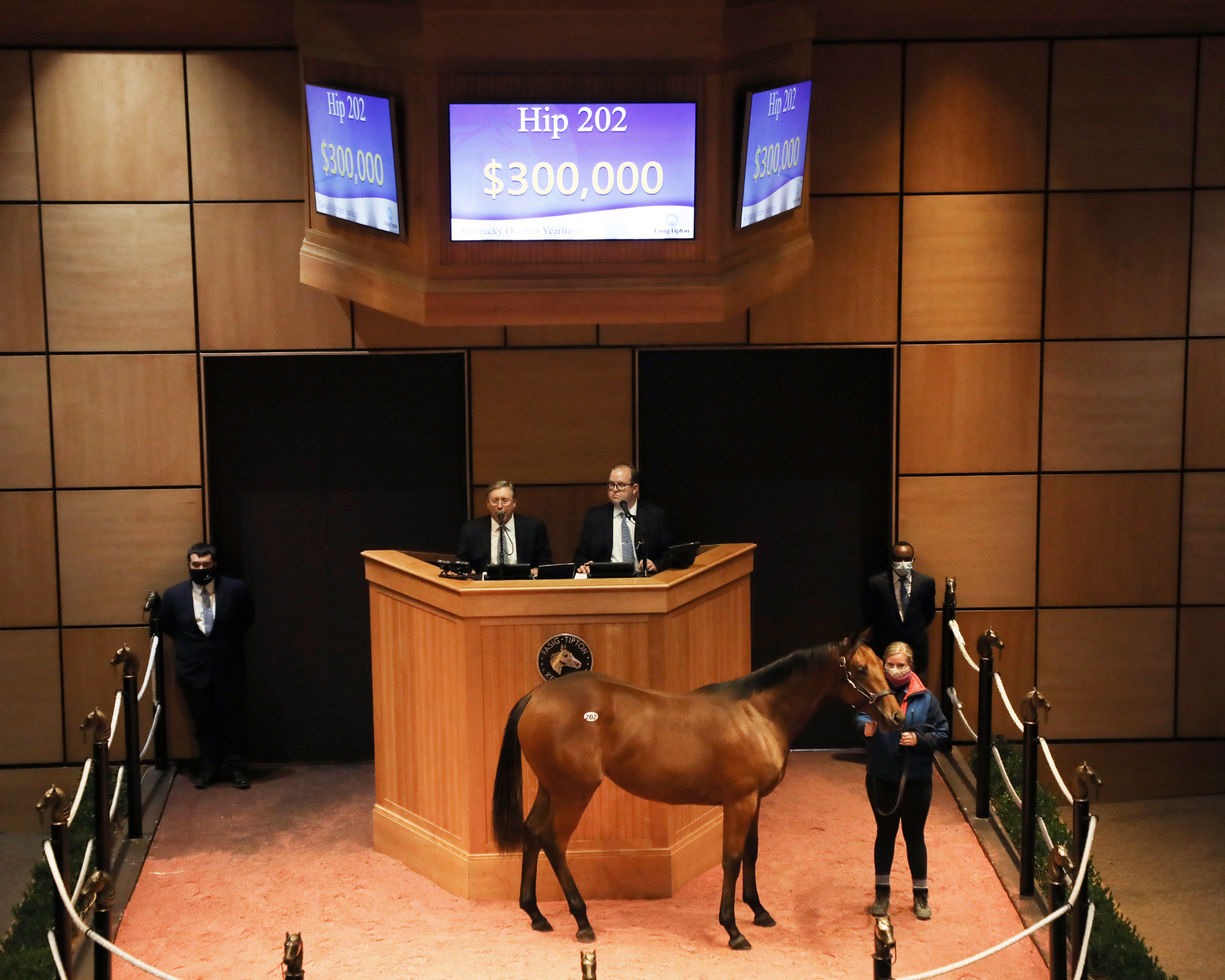 Into Mischief filly/FTK fall yearling sale