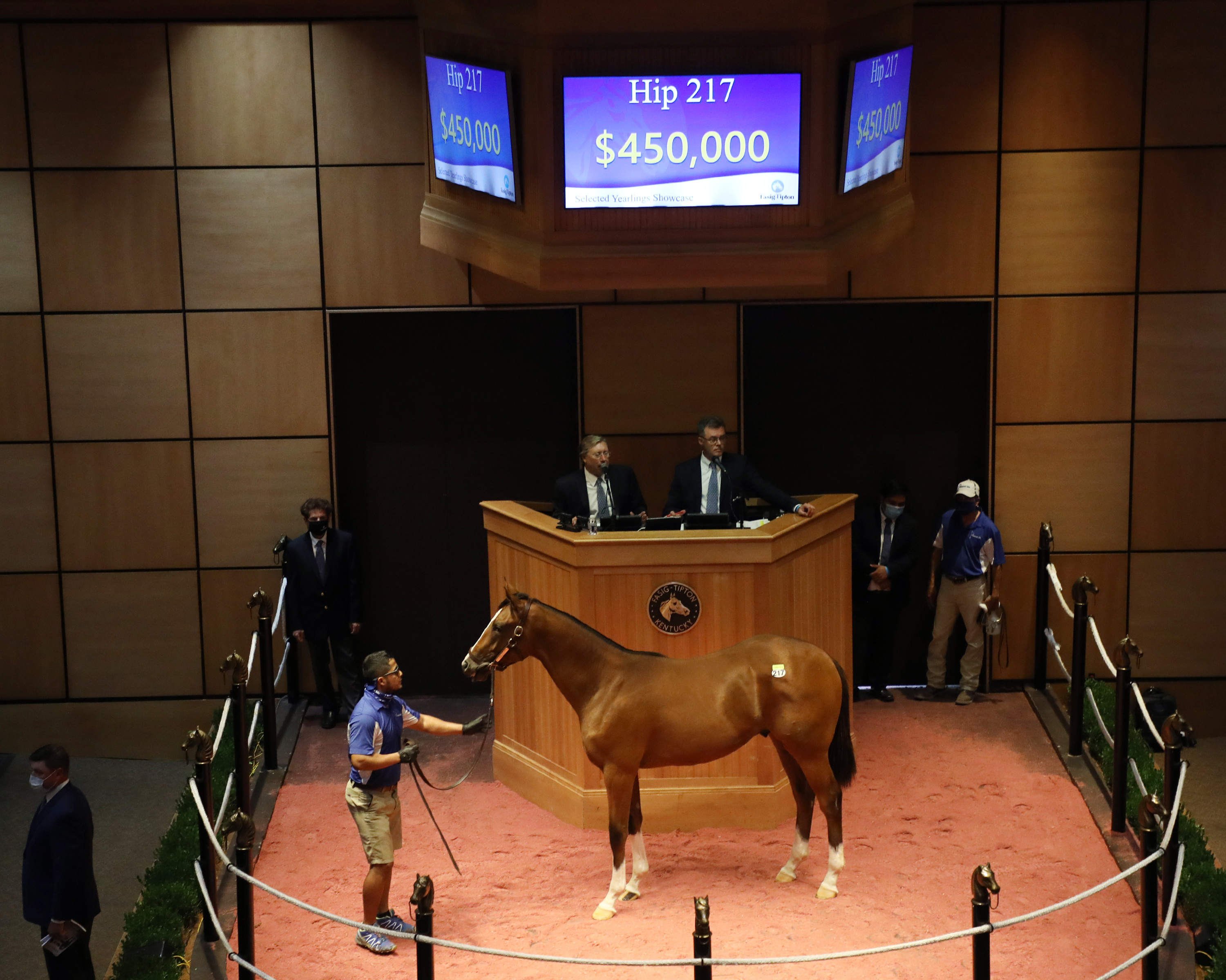 Into Mischief colt/FT Sale