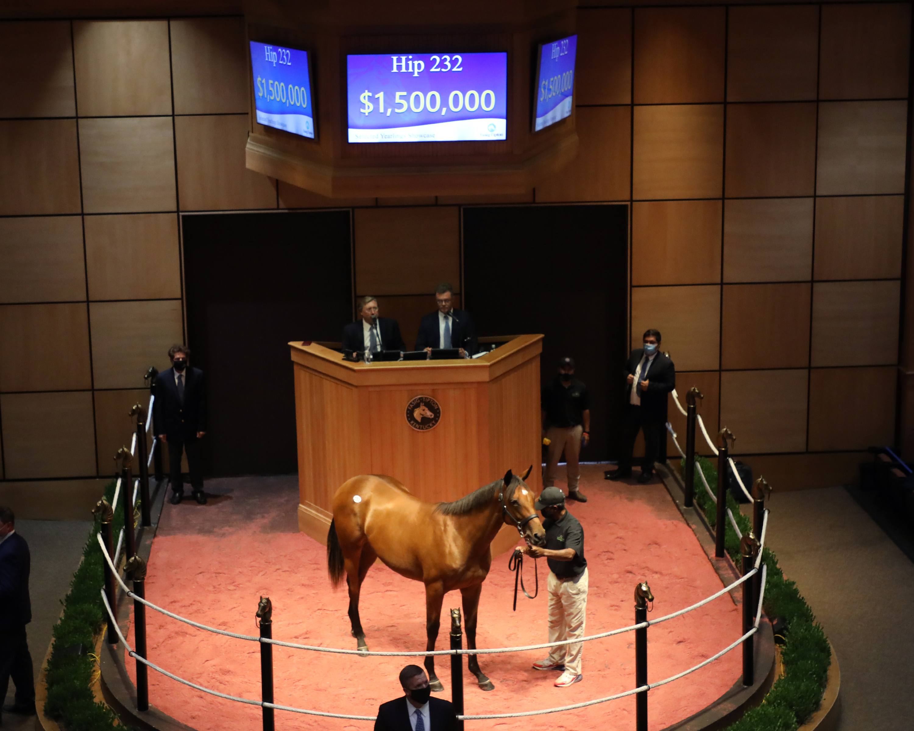 $1.5 million Quality Road filly/Fasig-Tipton yearling showcase