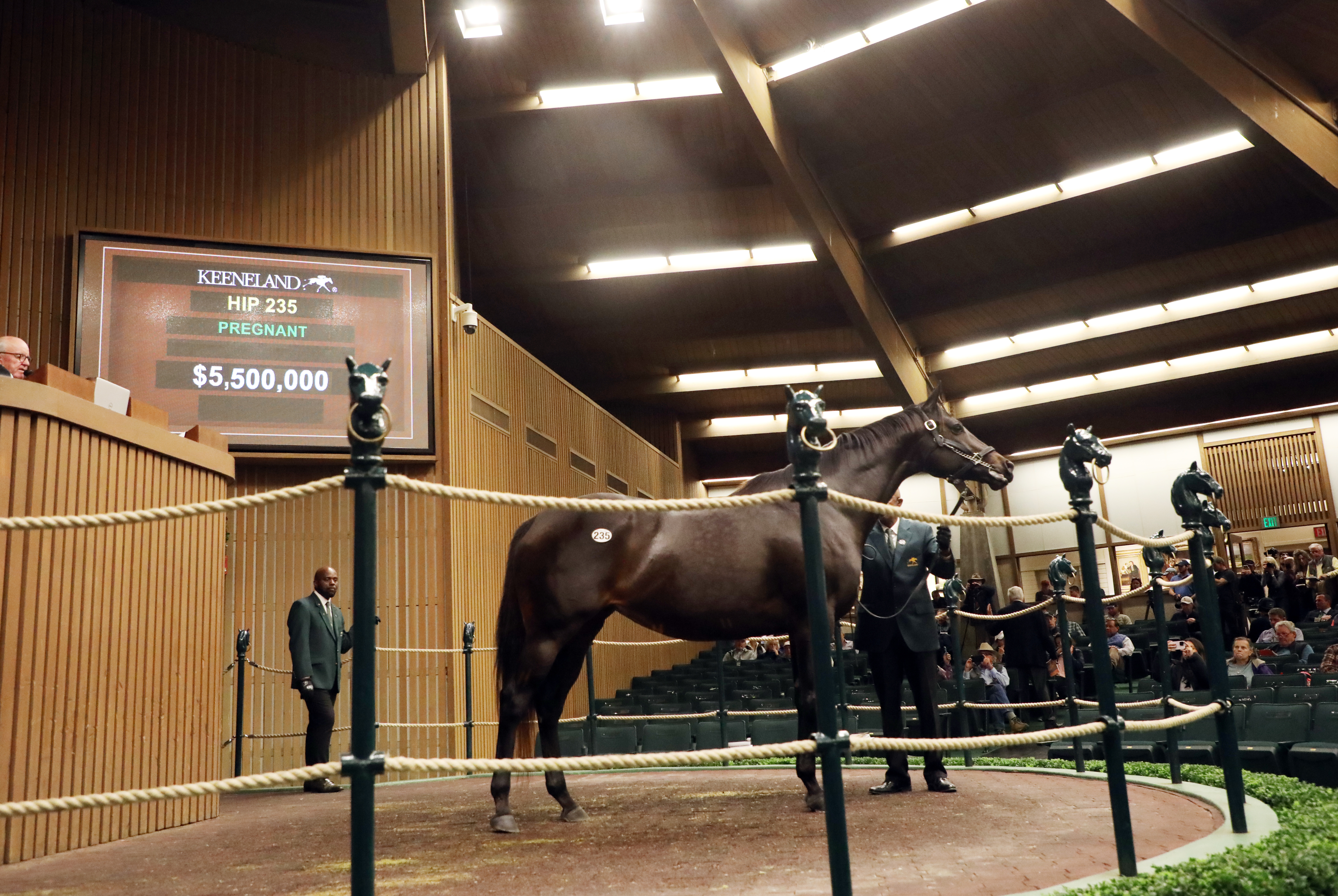 Midnight Bisou/Keeneland November 2022