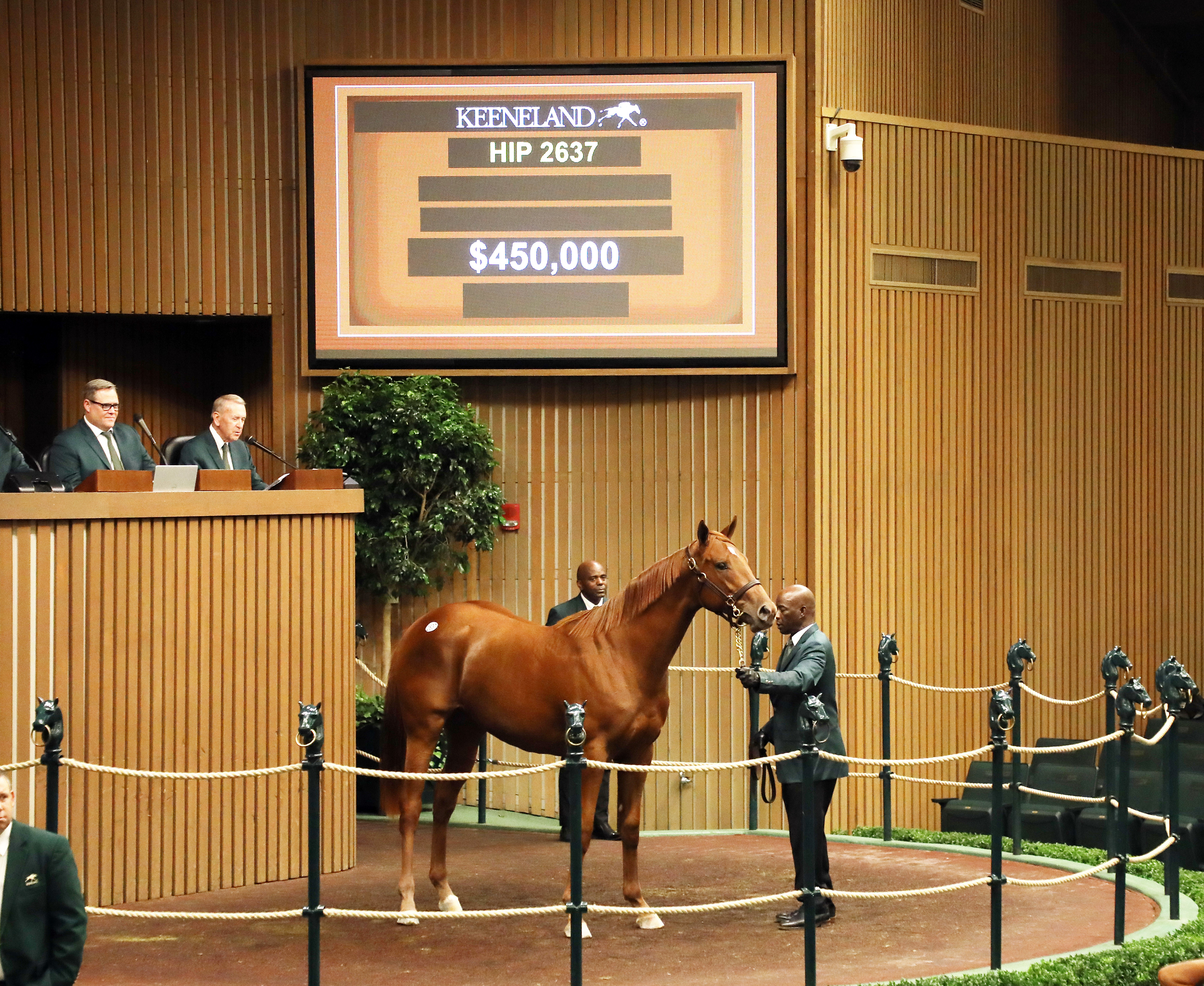 KeeSept9.20, Connect filly, $450k