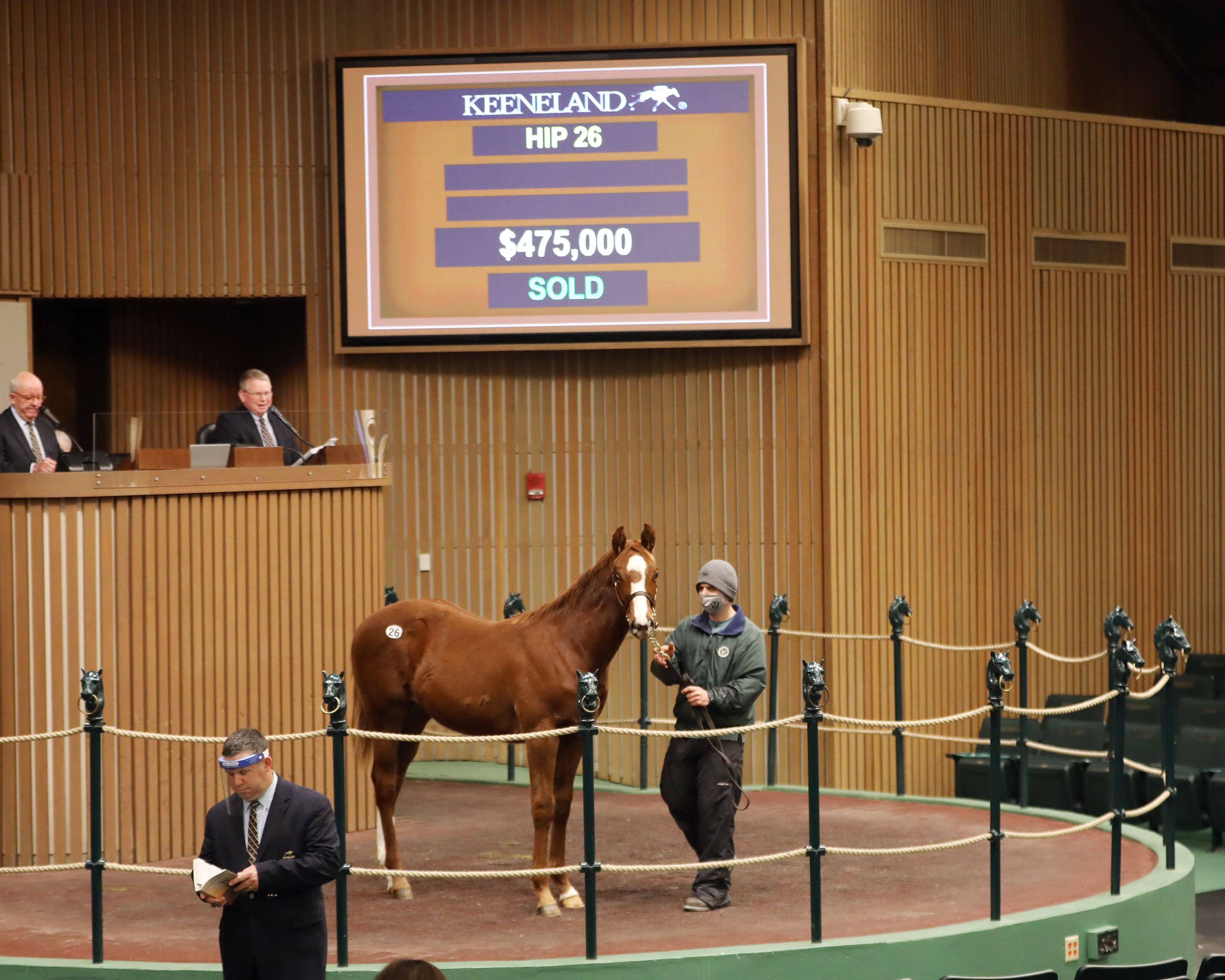 Munnings colt/Keeneland January