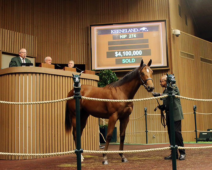 A Curlin colt out of Bounding sells for $4.1 million at the Keeneland September yearling sale