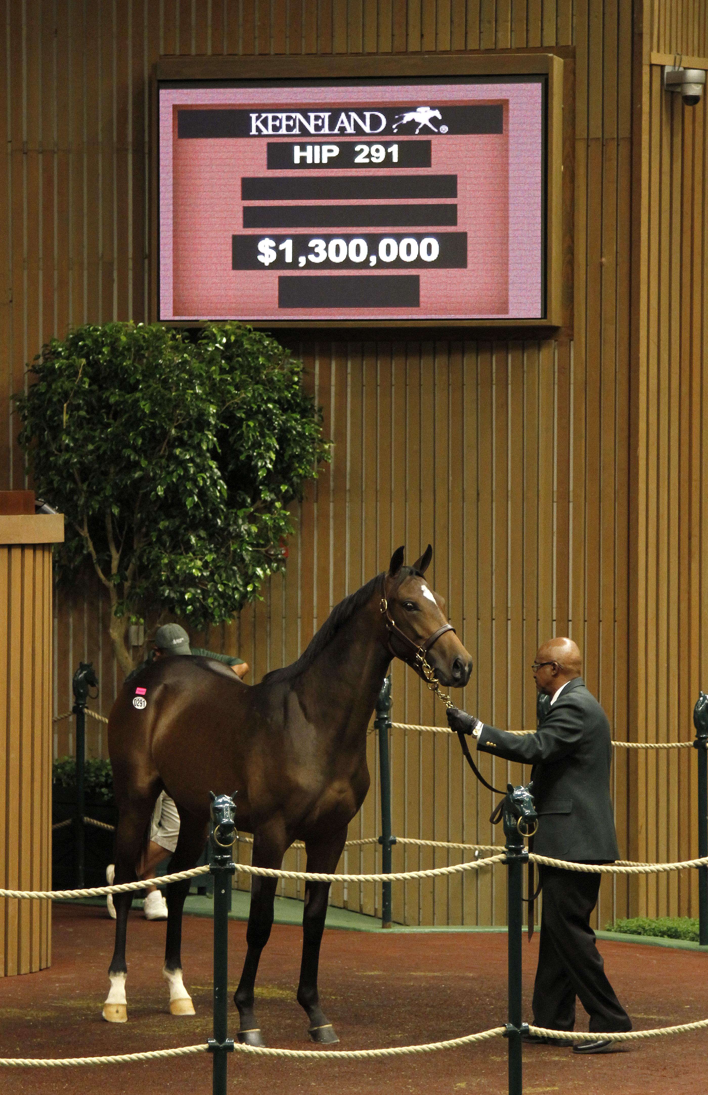 Keeneland September: Seven-figure quartet leads second session