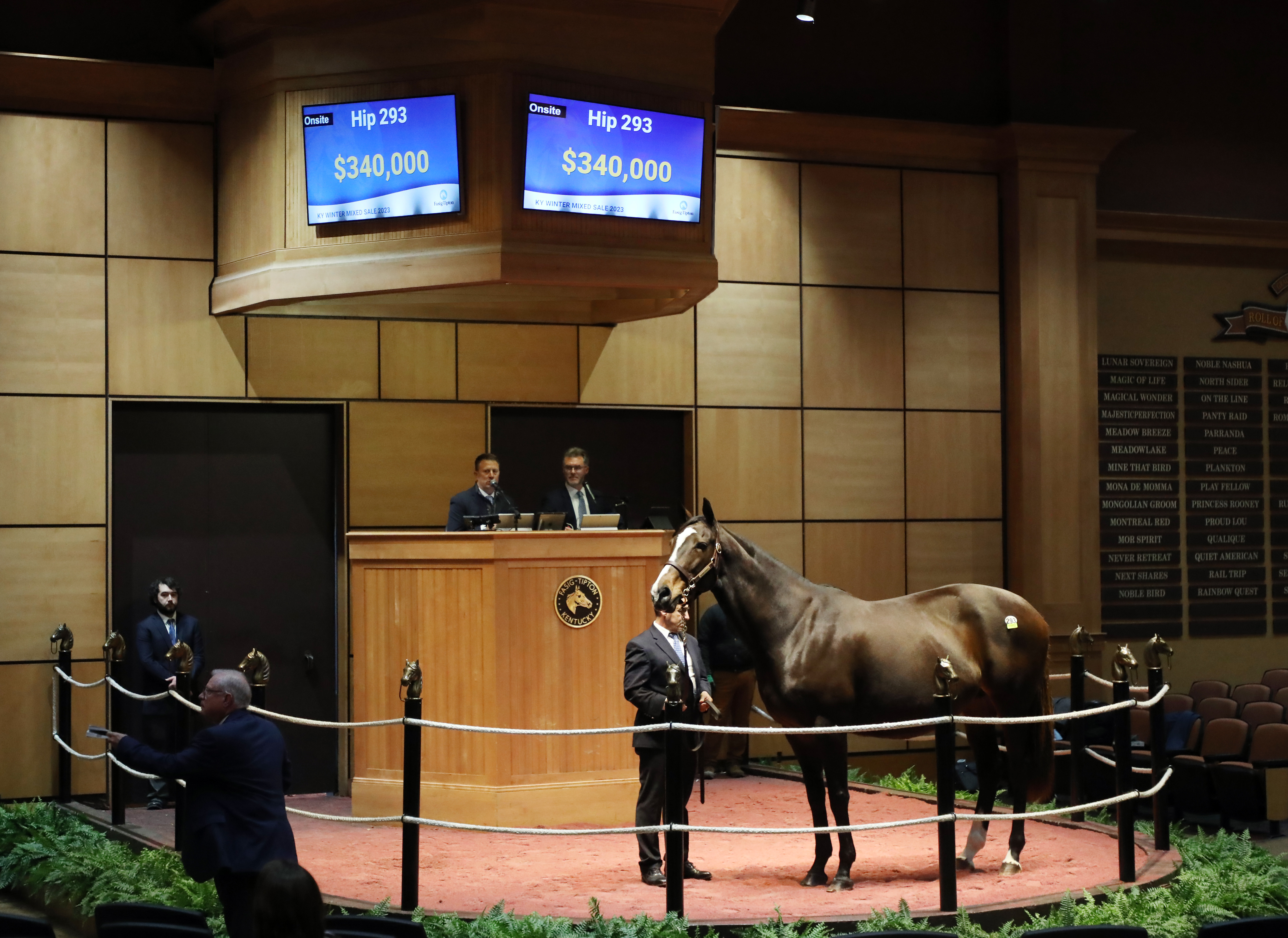 Hip No. 293/Fasig-Tipton Kentucky winter mixed