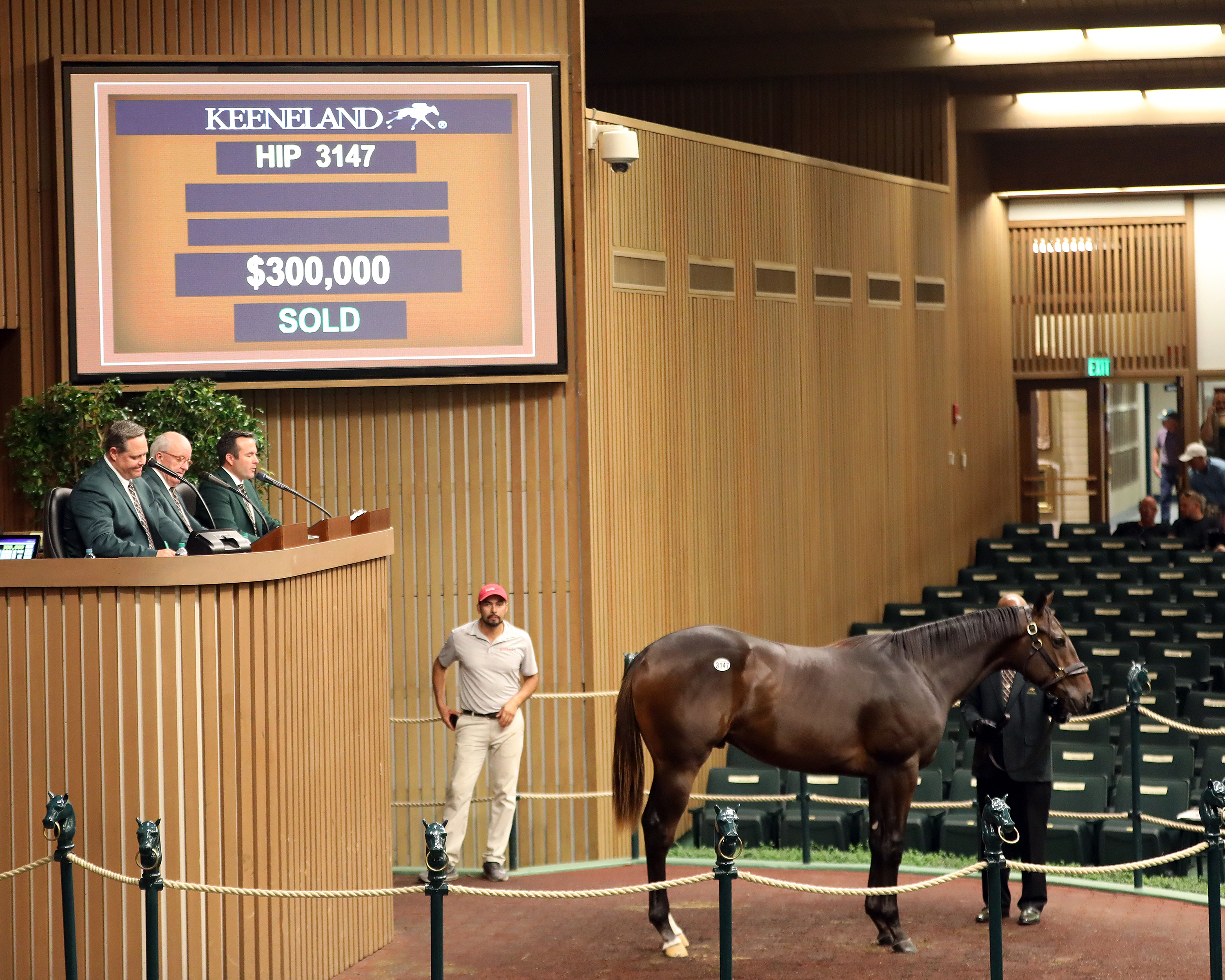 Hip 3147 - Maclean's Music-Woodford County - sells at Keeneland September 2019