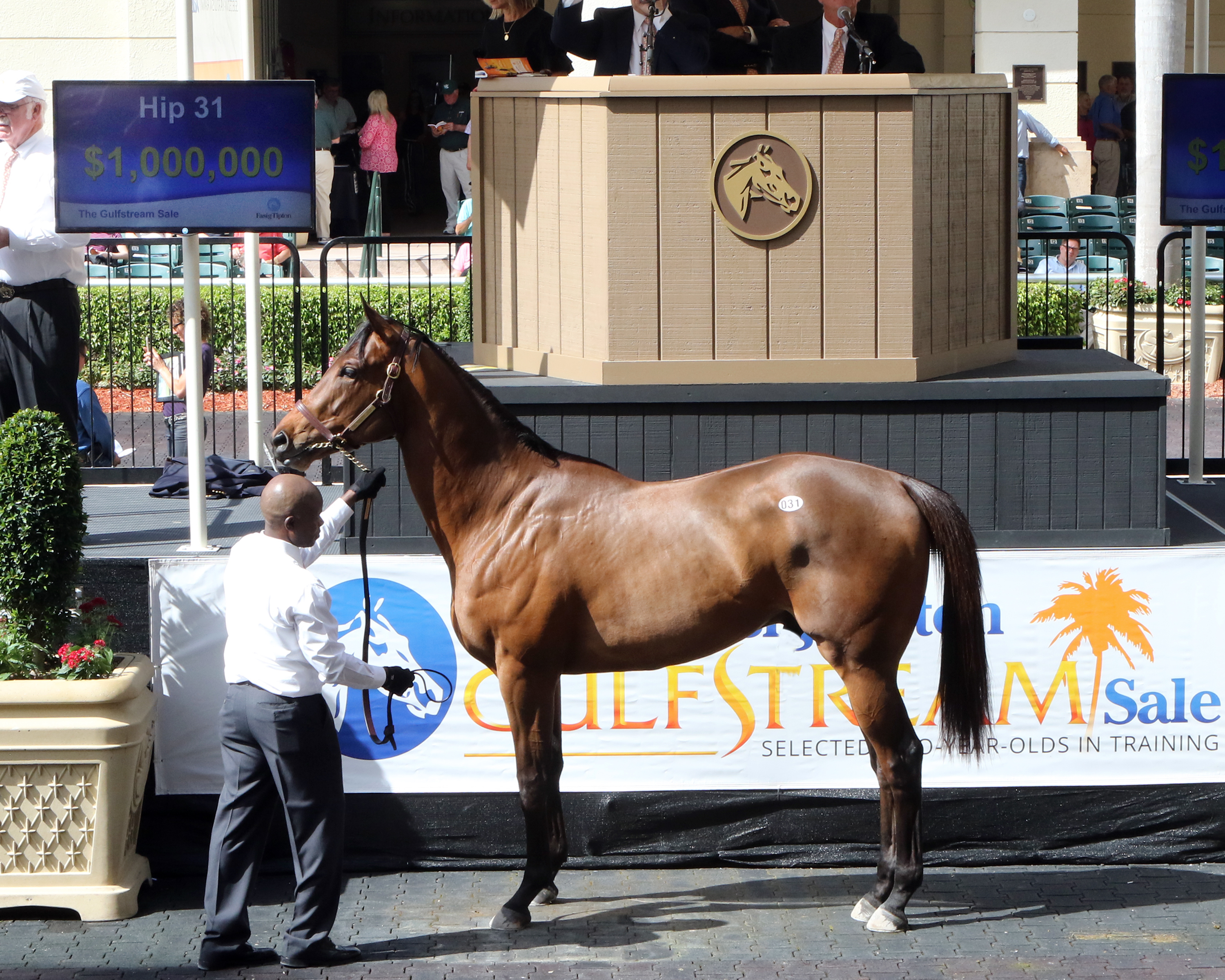 Hip 31 sells for $1 million at the Fasig-Tipton Gulfstream sale