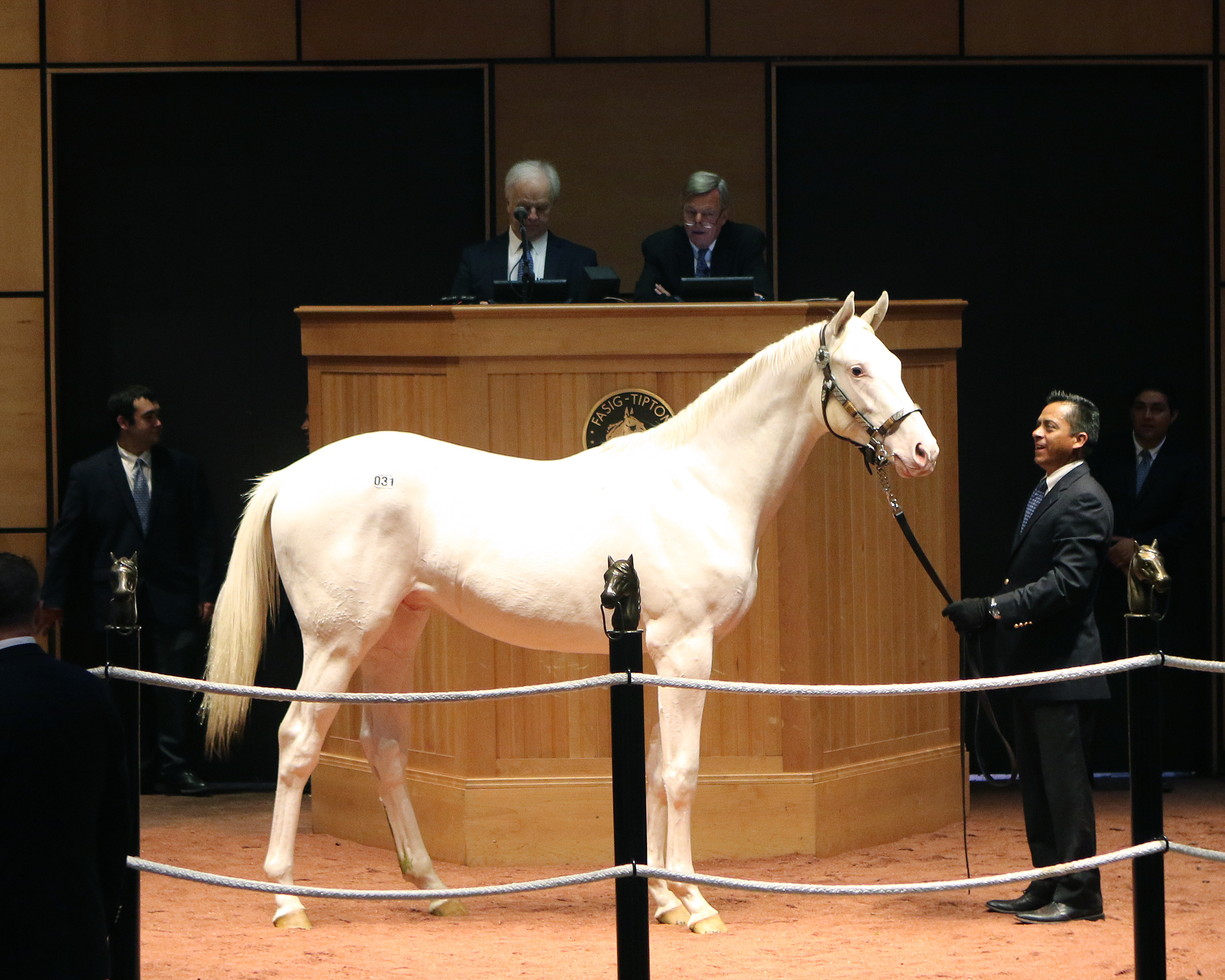 Blizzard Condition, Hip 31, sells at the Fasig-Tipton Kentucky fall yearlings sale