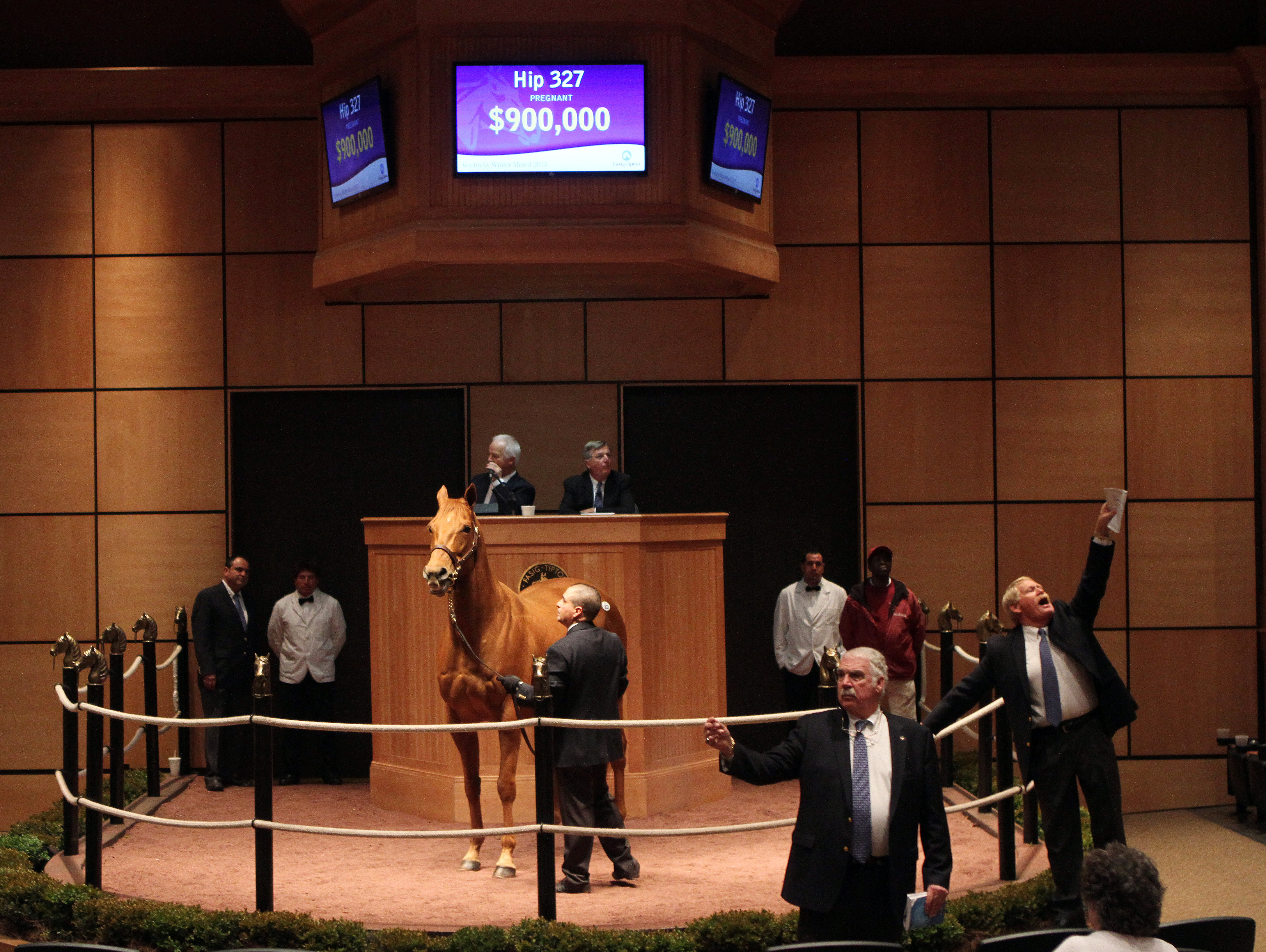 Pool Land Fasig-Tipton