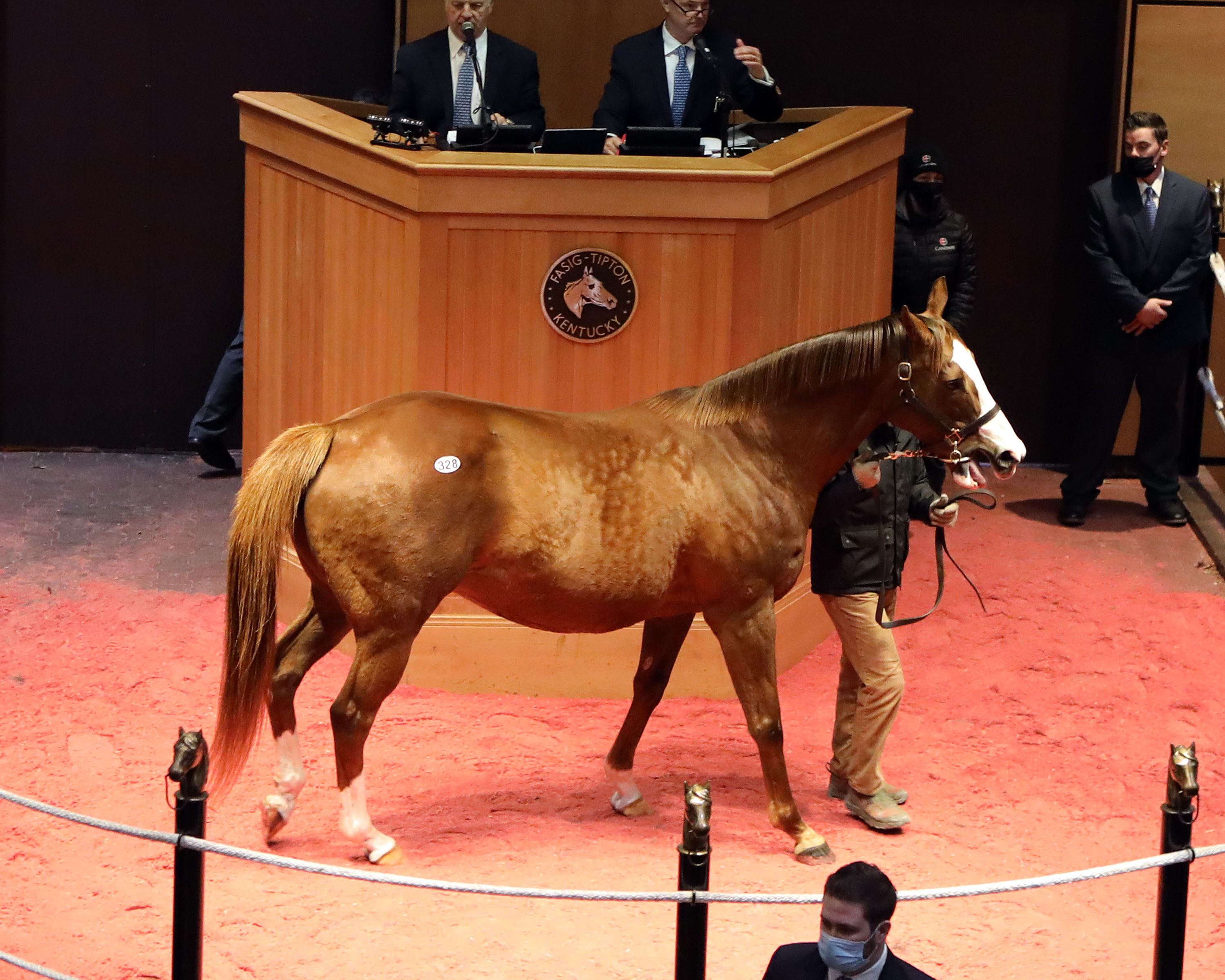 Beloveda/Fasig-Tipton