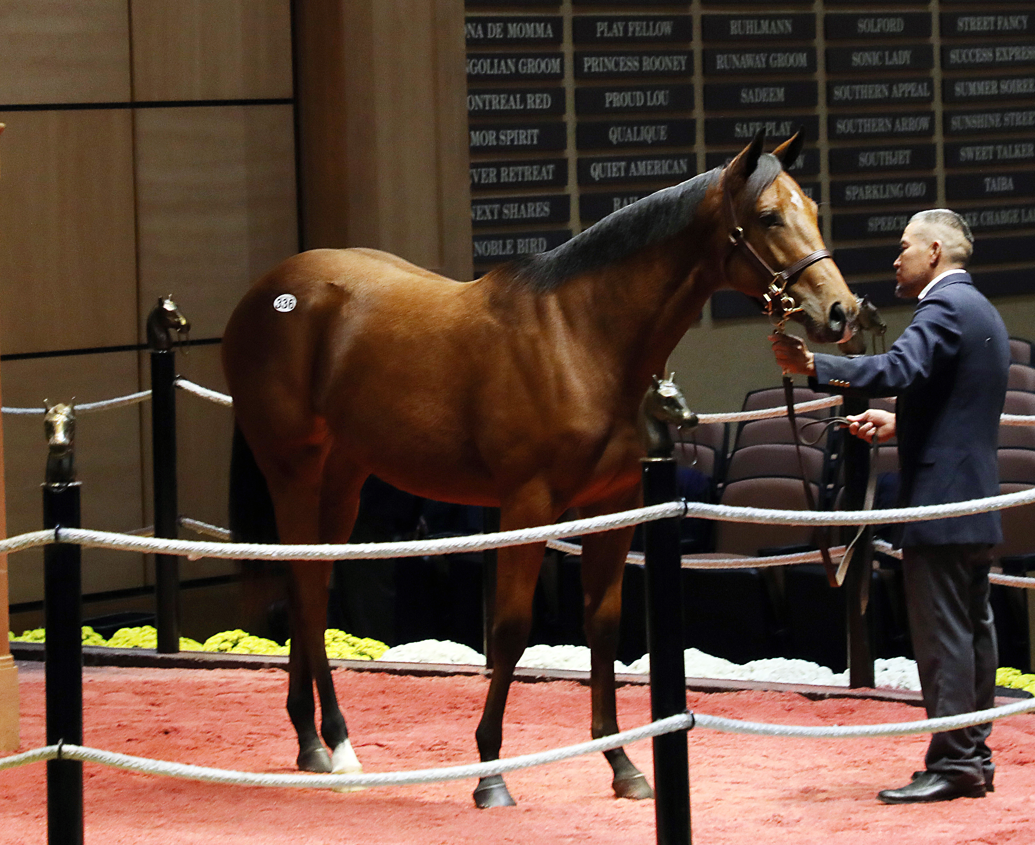 F-T Kentucky/Into Mischief filly