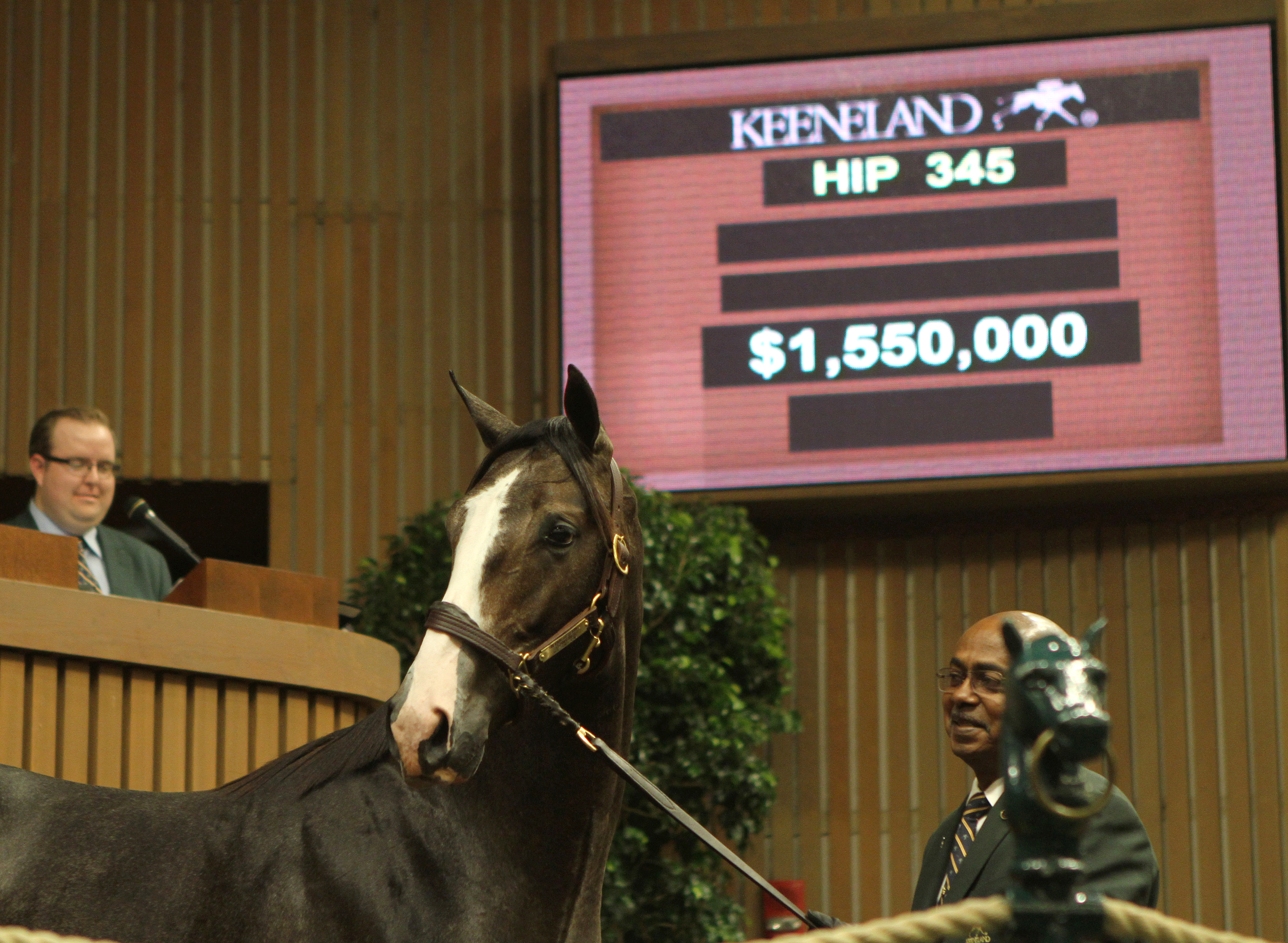 Keeneland September 2014 second session topper - Unbridled's Song colt