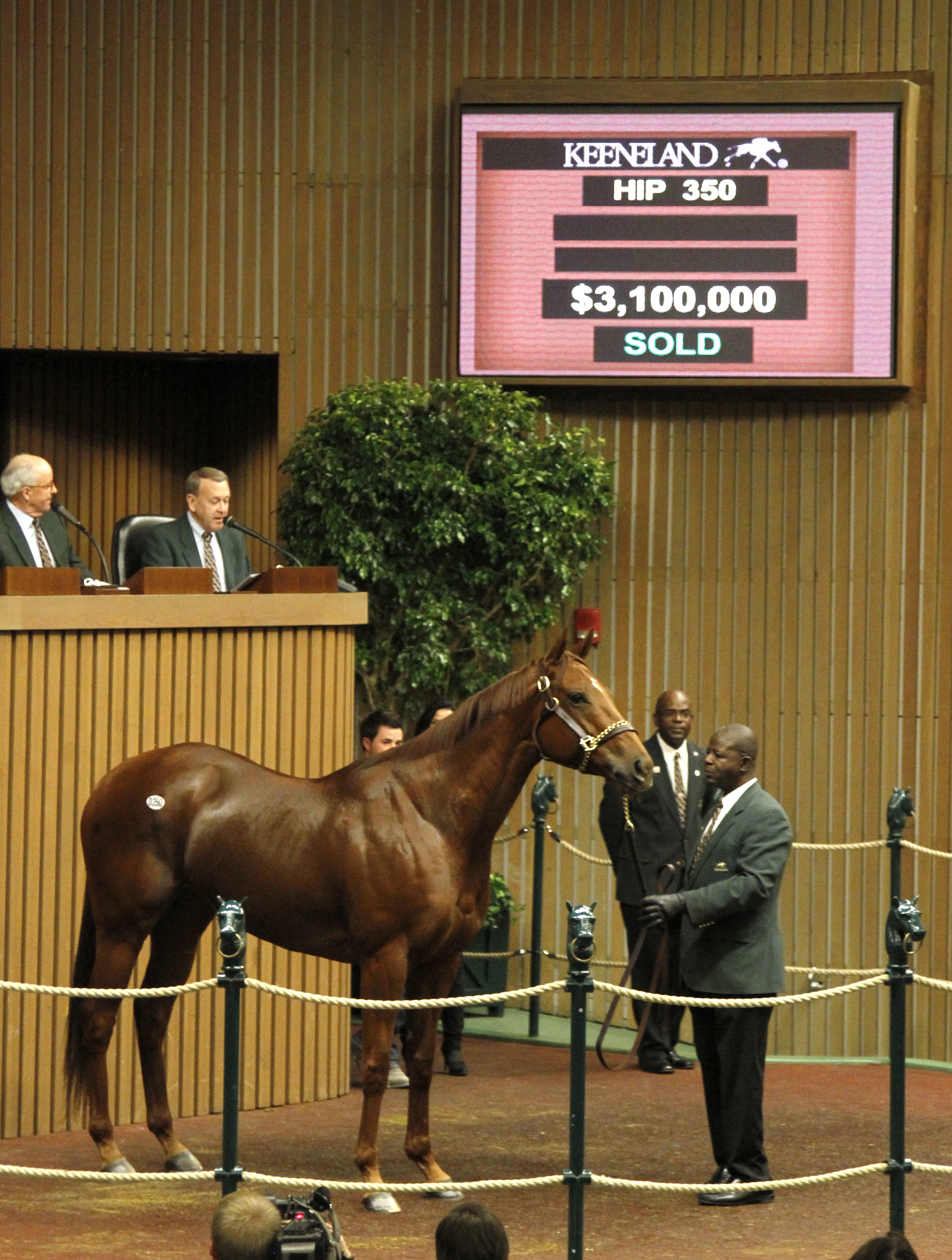 Groupie Doll sells at Keeneland November