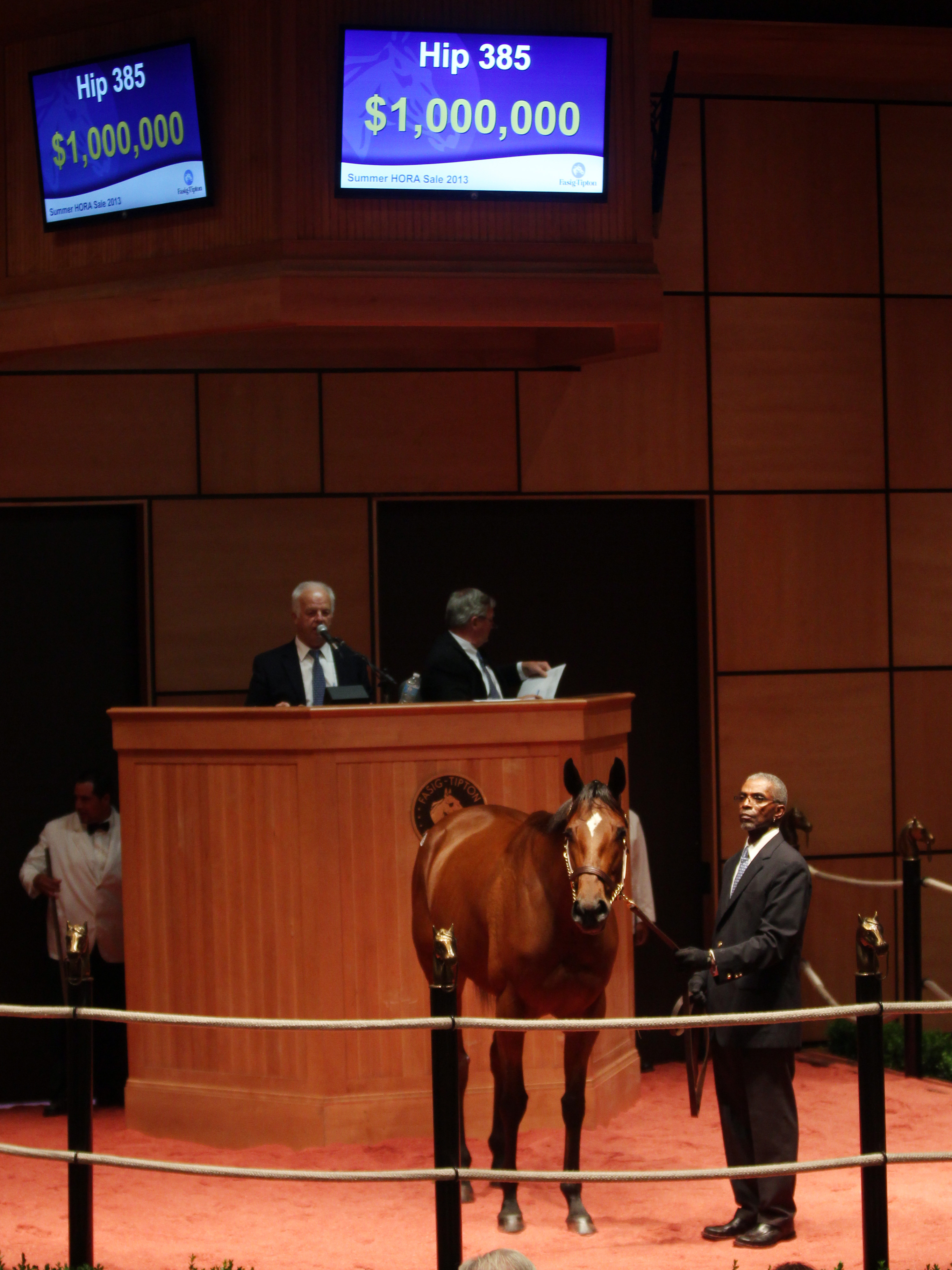 Fasig-Tipton summer horses of yearling sale-Starship Truffles