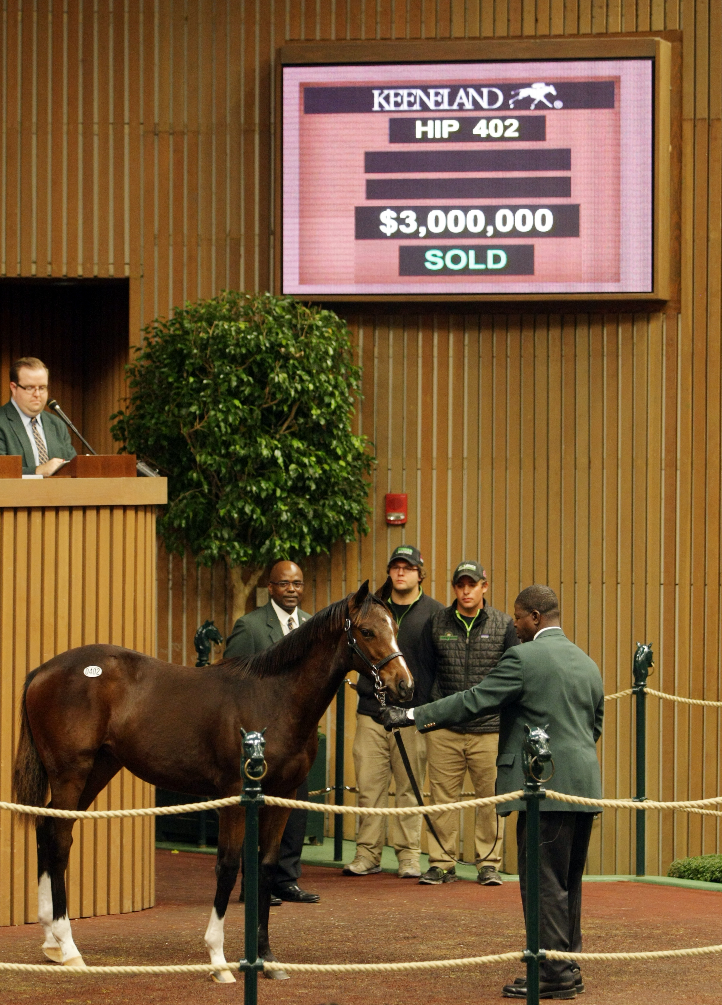 Keeneland November record weanling 2014