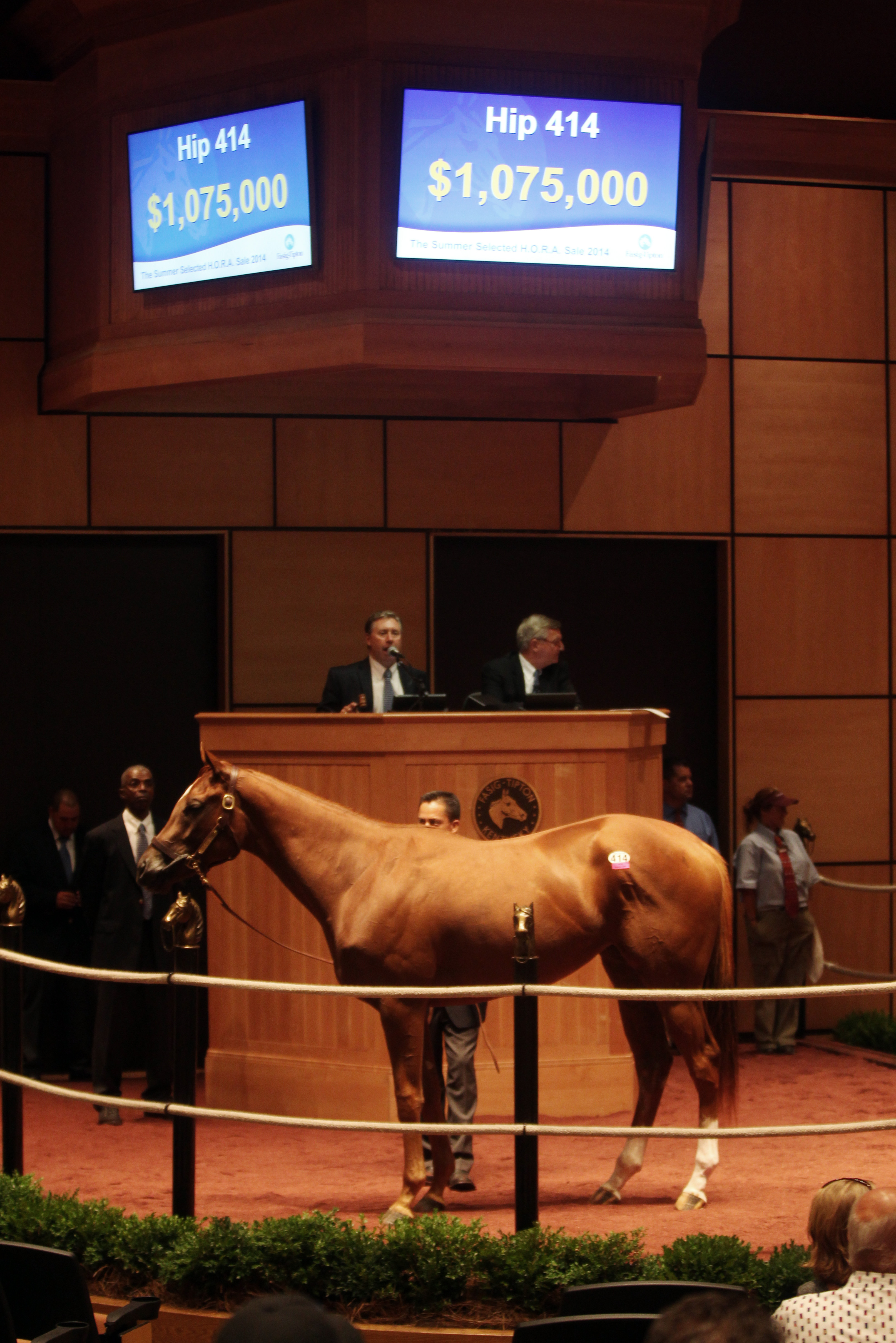 Bedford Land at Fasig-Tipton sale