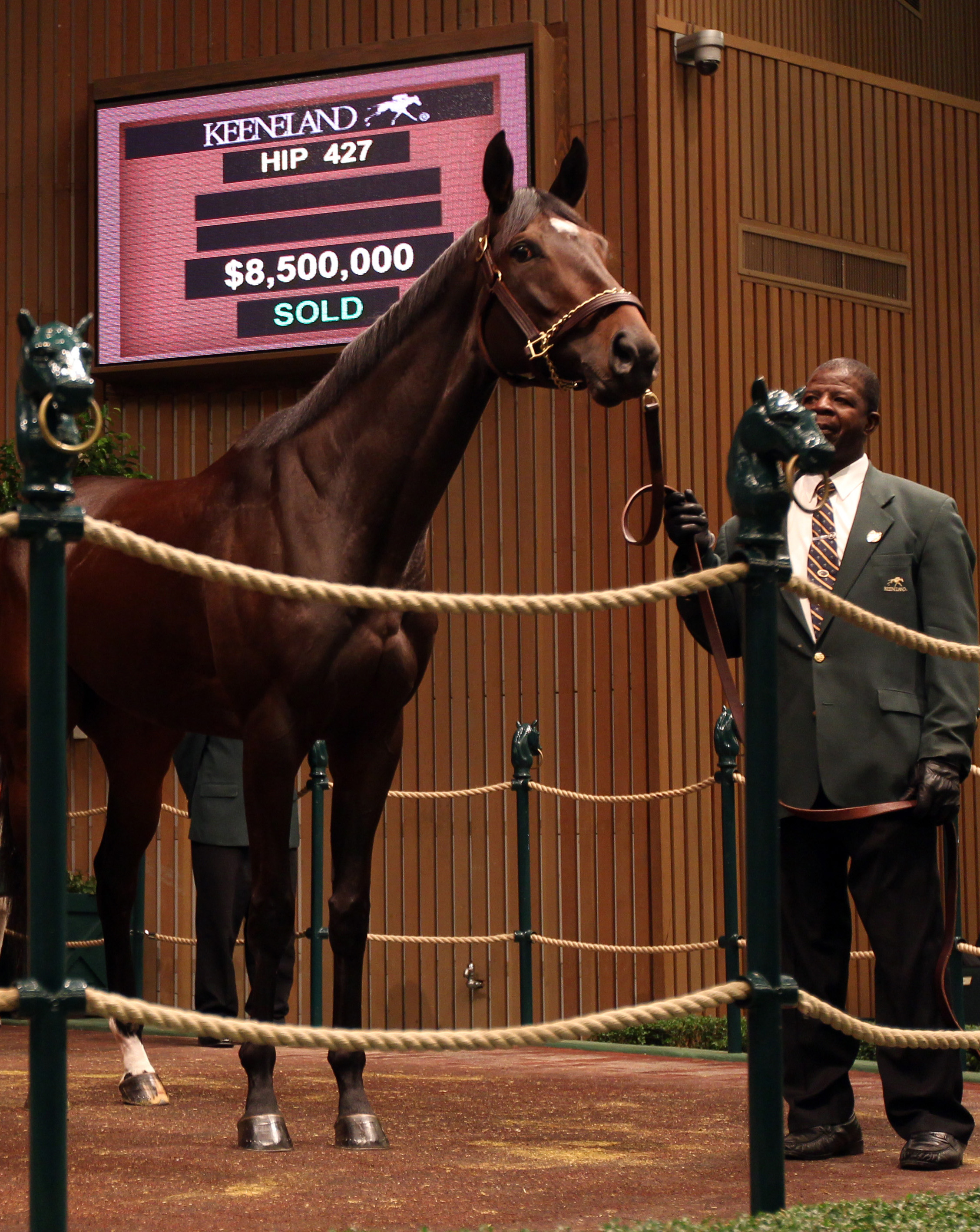 Royal Delta at Keeneland November (marquee)