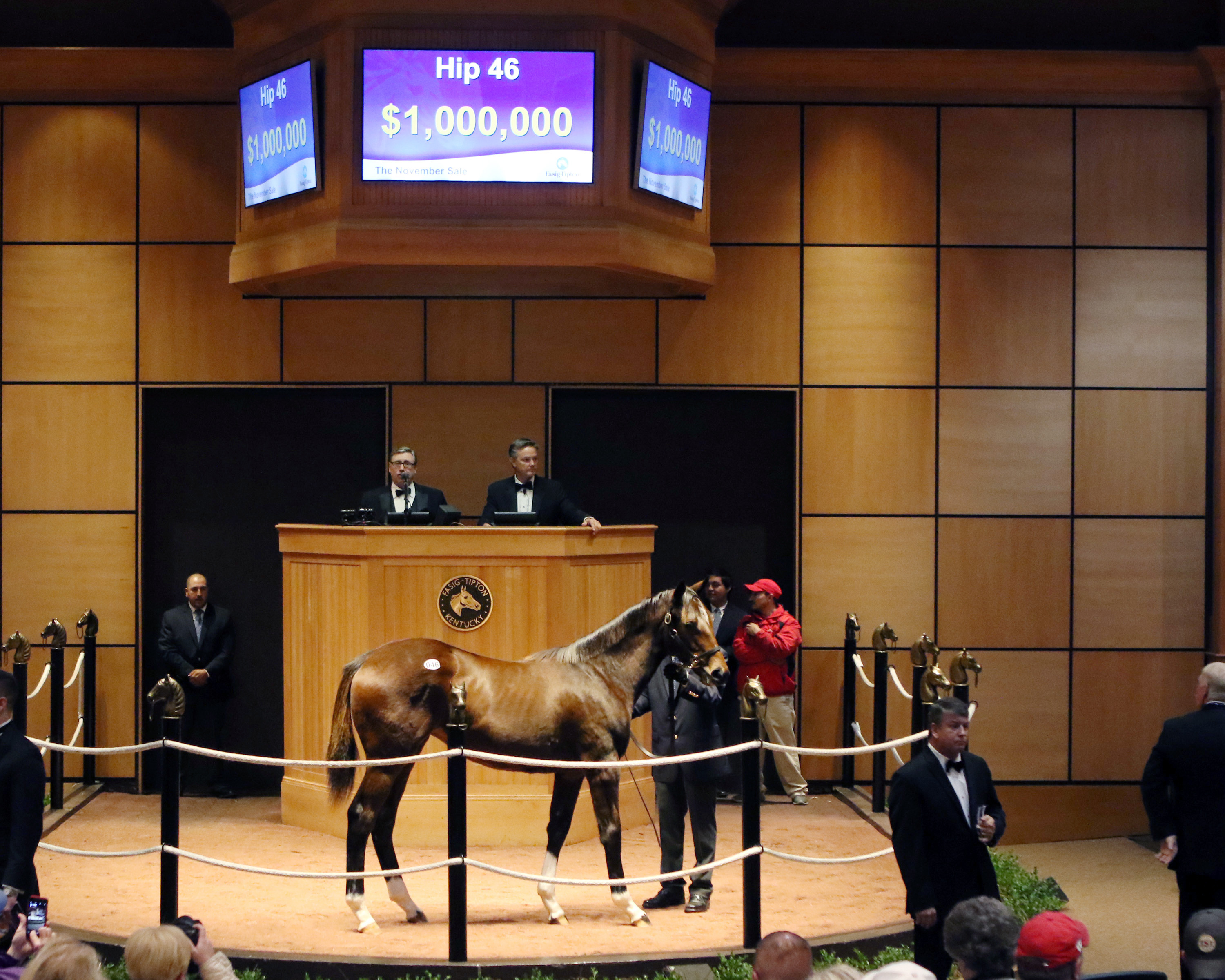 American Pharoah's first weanlings well received at sales
