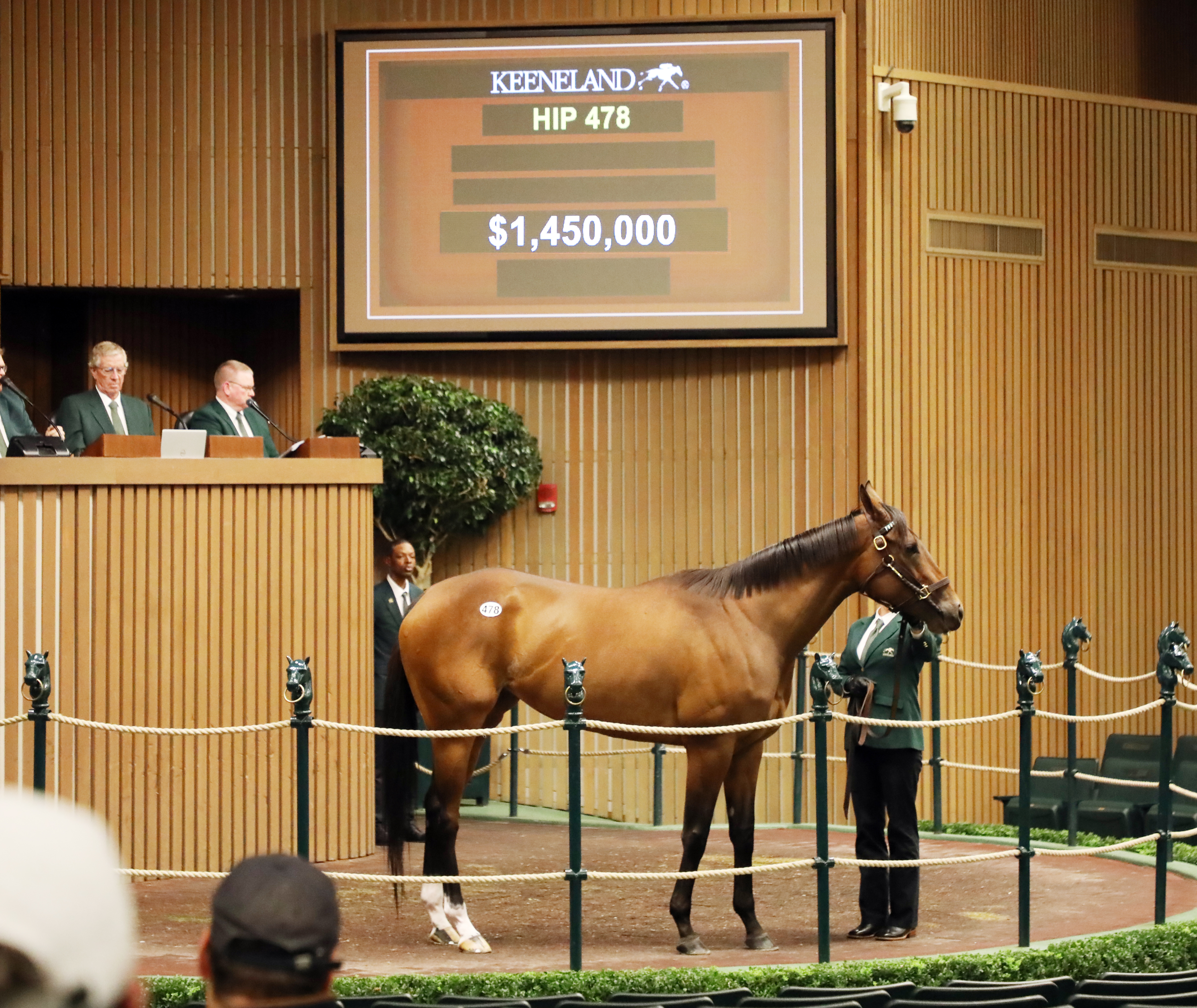 Park Avenue, KeeNov Session 2 saletopper