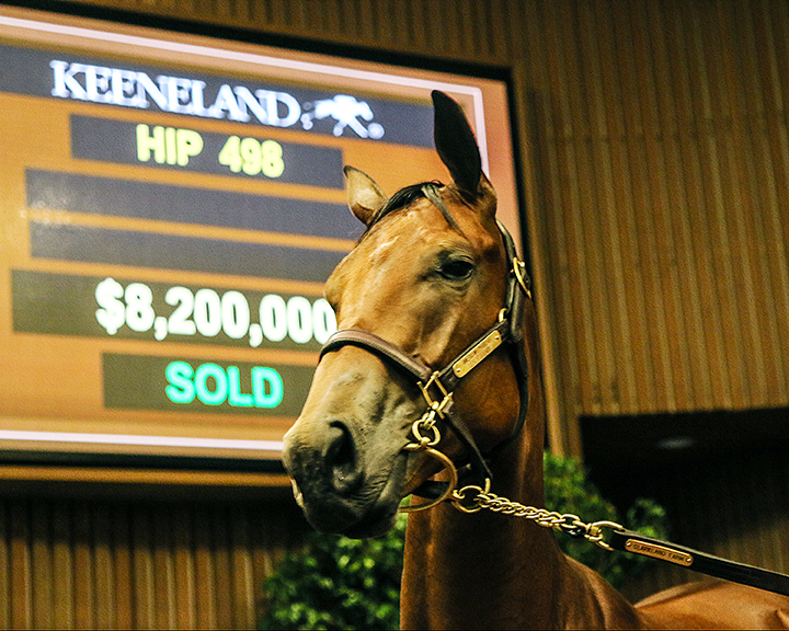 An American Pharoah/Leslie's Lady filly sells for $8.2 million at the Keeneland September Yearling Sale