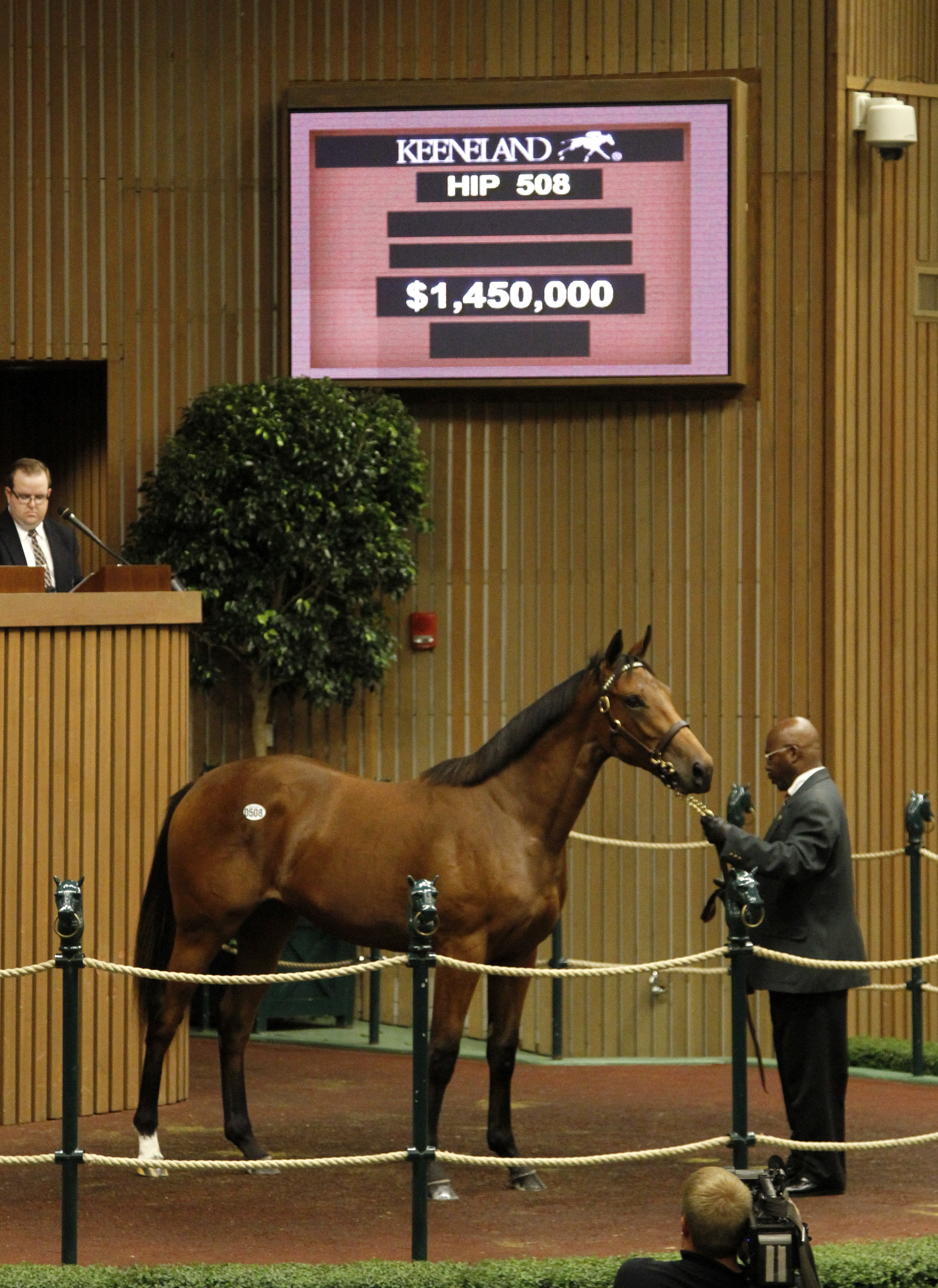 Keeneland September 2014 third session topper - Dubawi filly