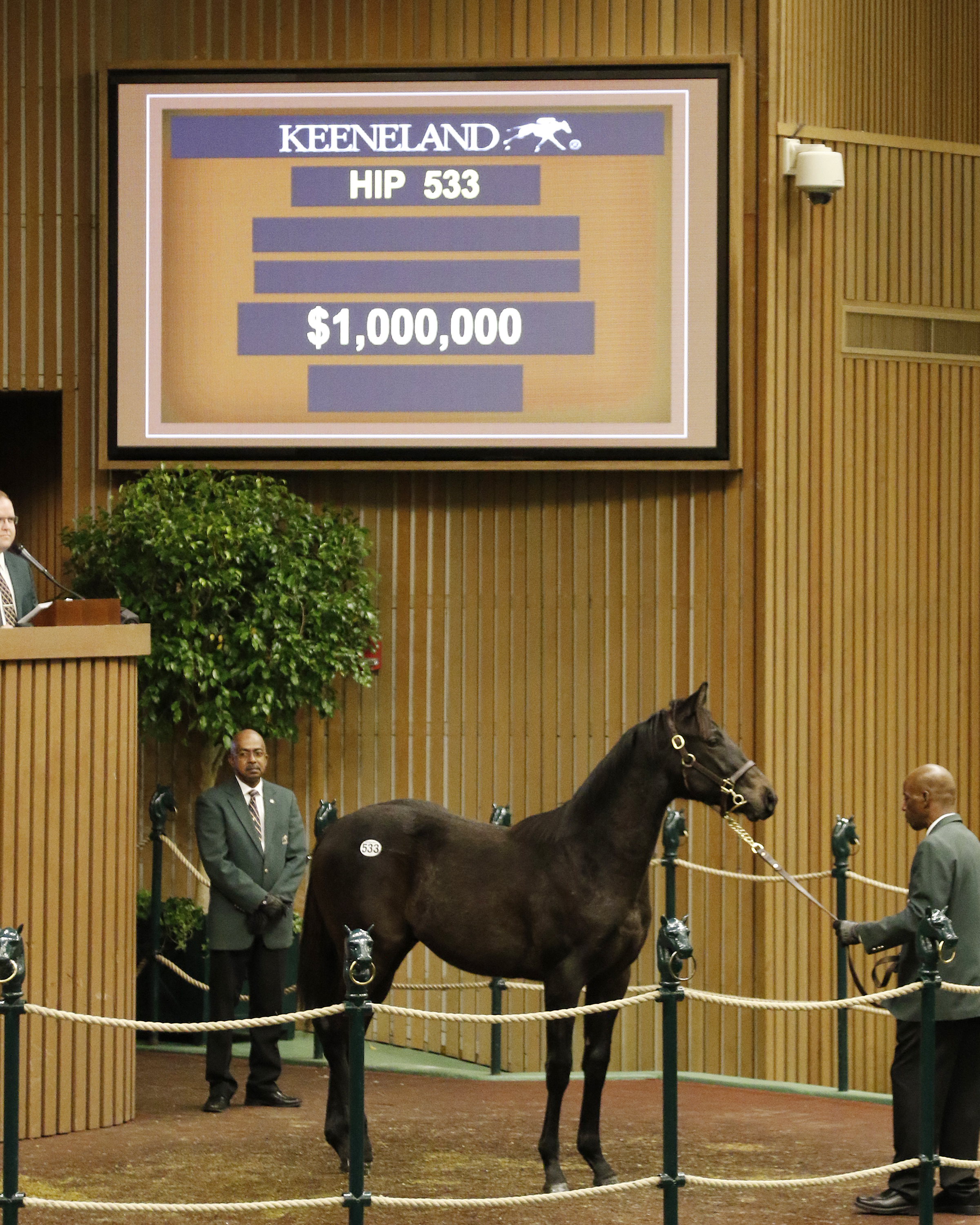 American Pharoah KeeJan