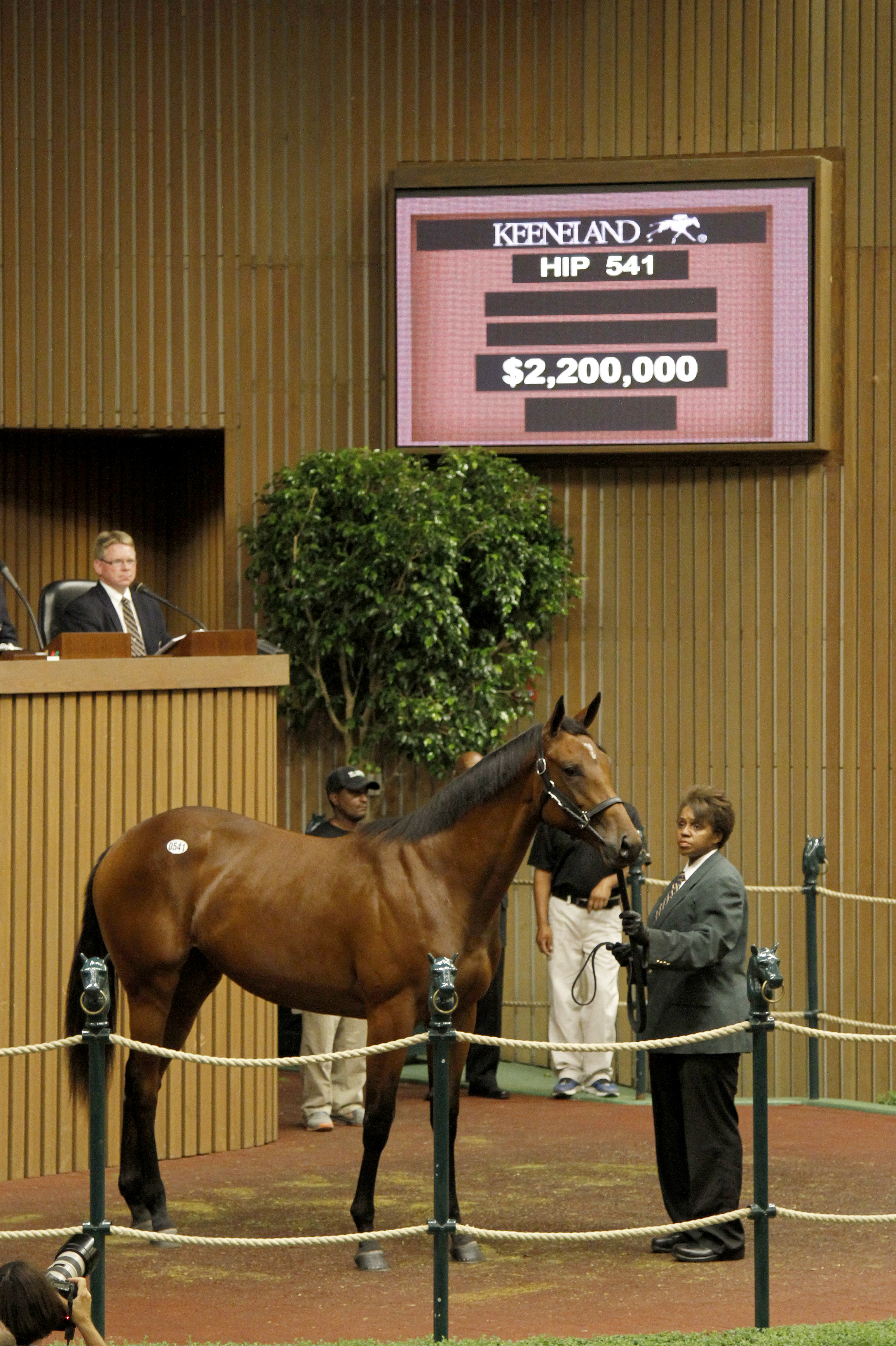 Keeneland third session topper: Indian Charlie filly