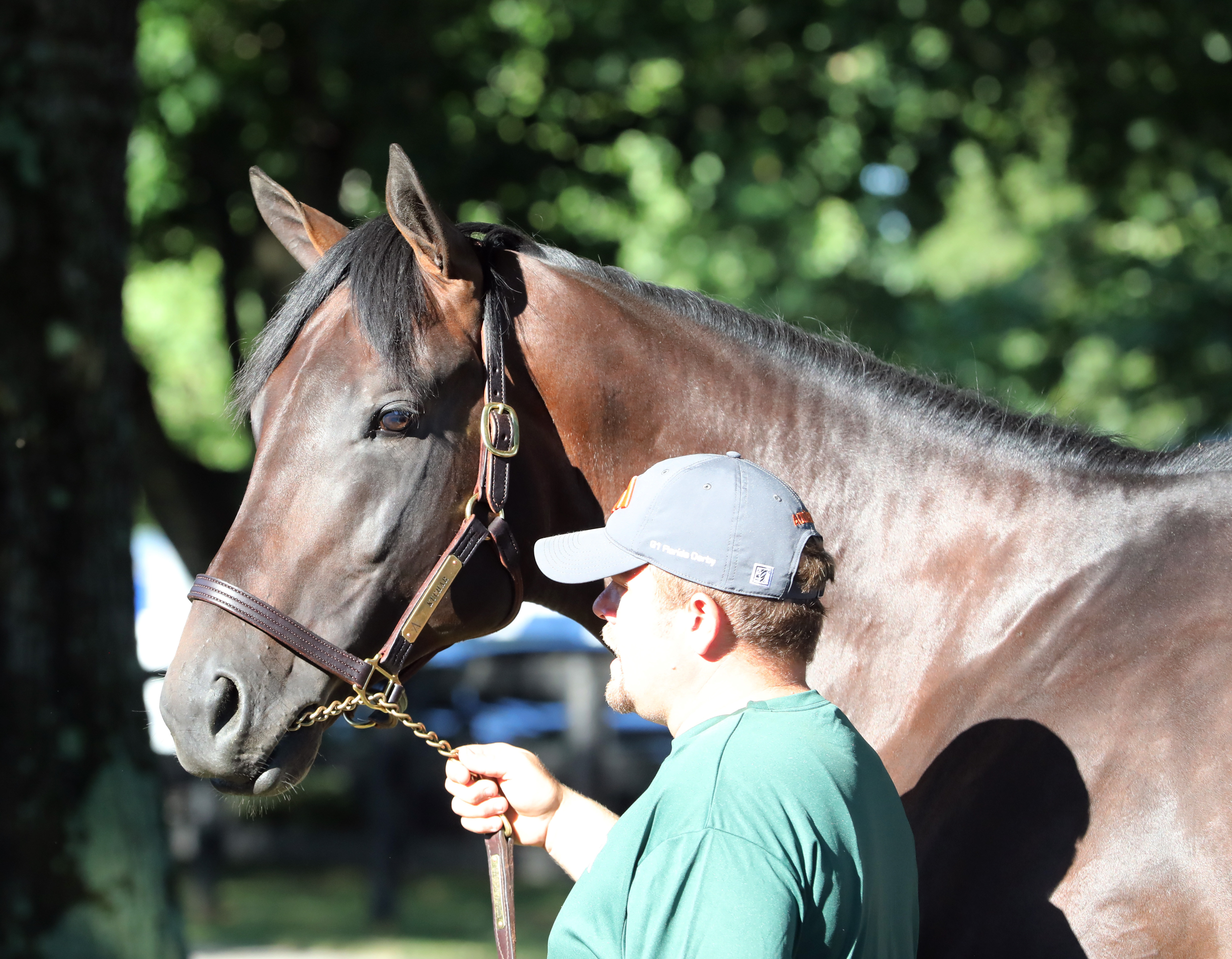 Kuchar/Fasig-Tipton