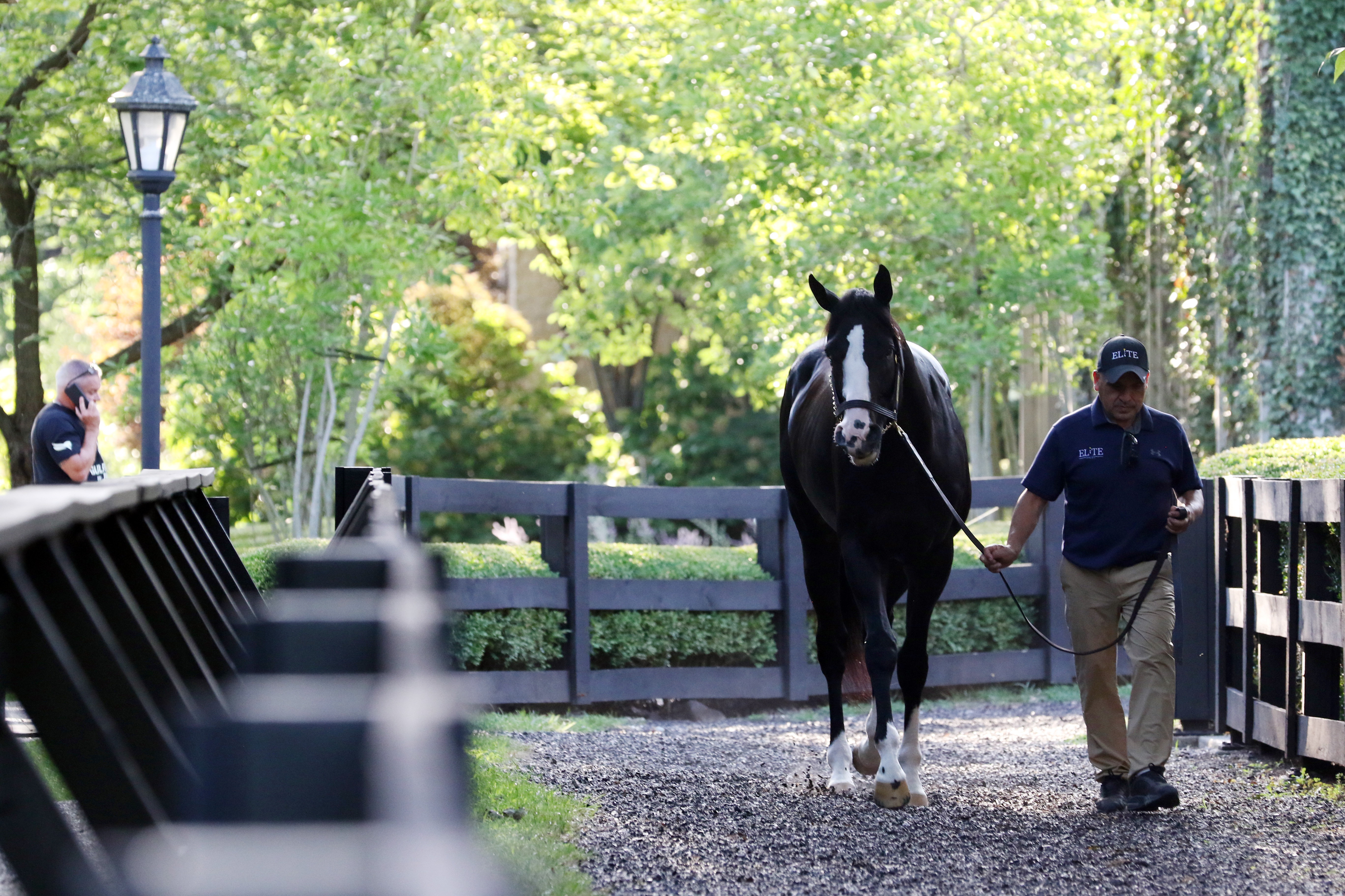 Newgrange/Fasig-Tipton