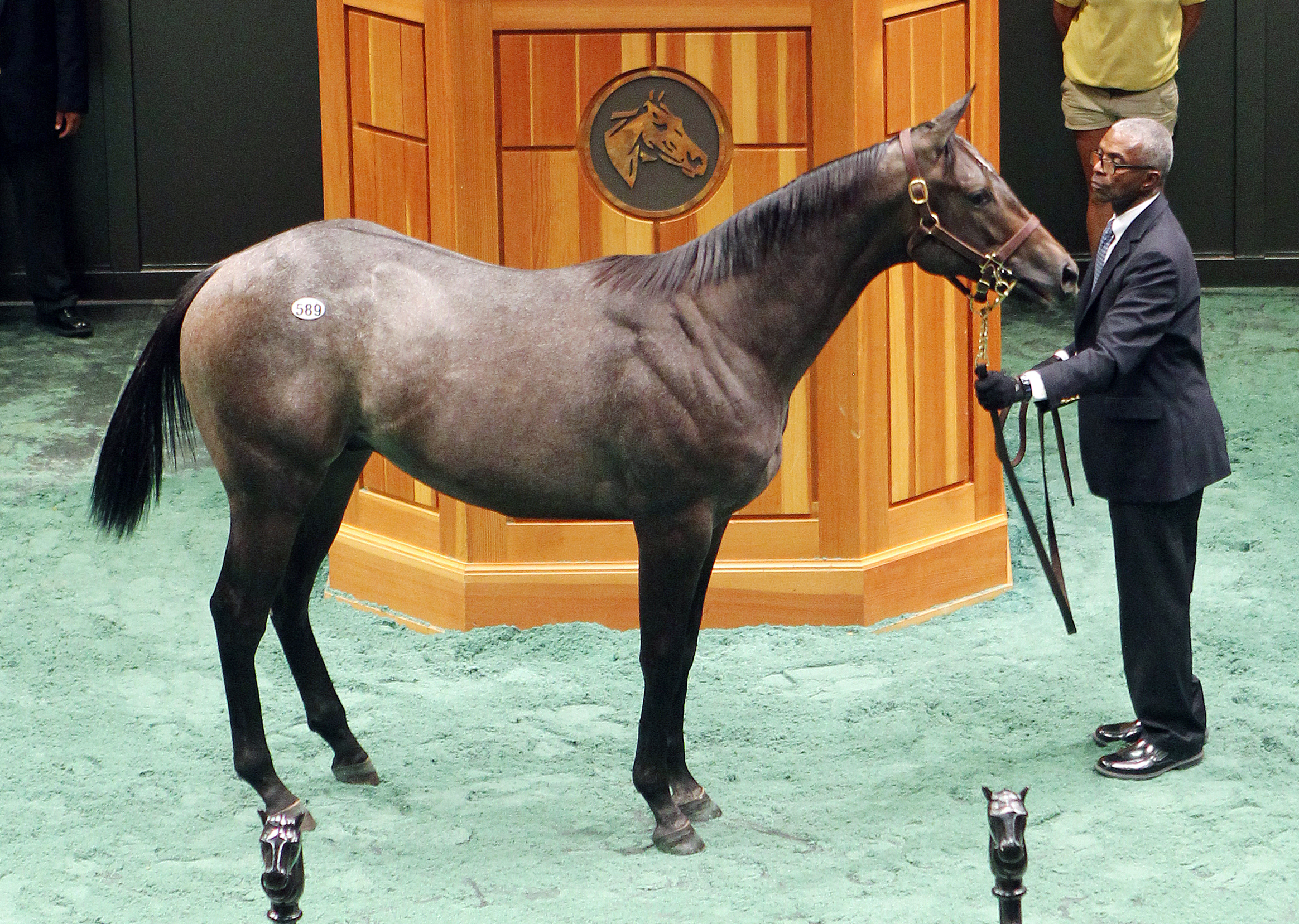 Cairo Prince-Garden City colt tops Fasig-Tipton NY-bred preferred yearling sale