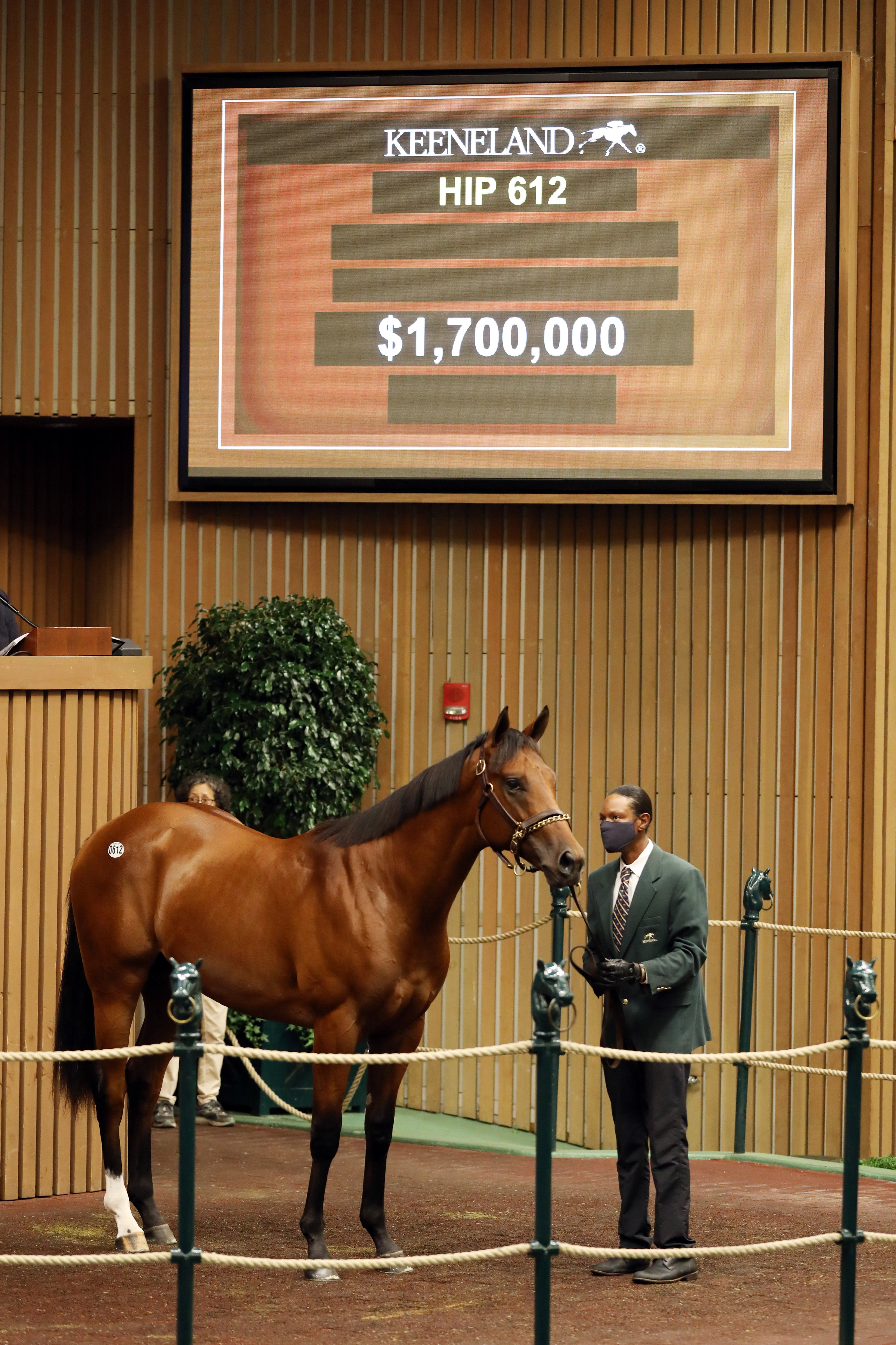 $1.7 million City of Light colt/Keeneland September 2021