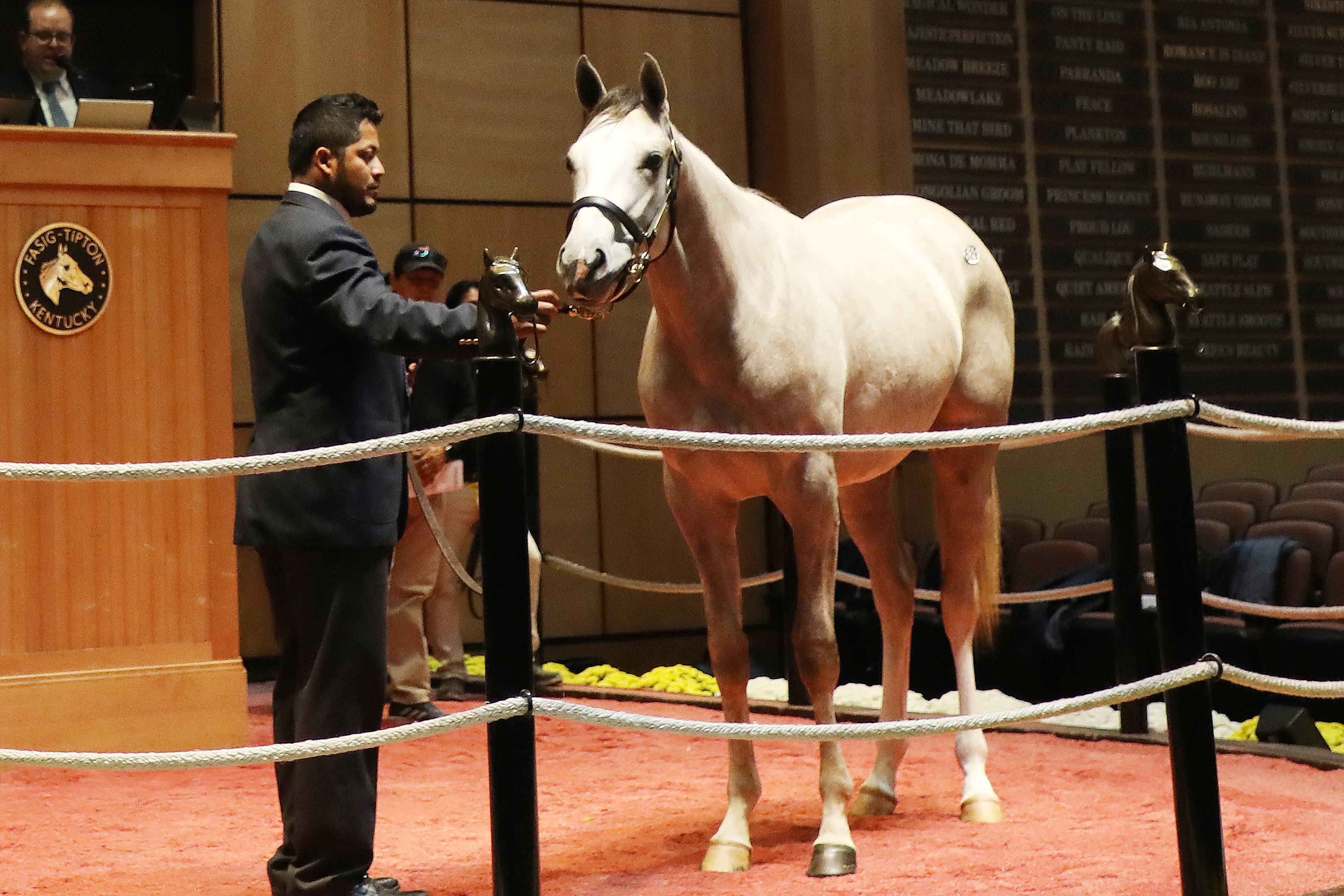 $600,000 Tapit filly/F-T Kentucky fall