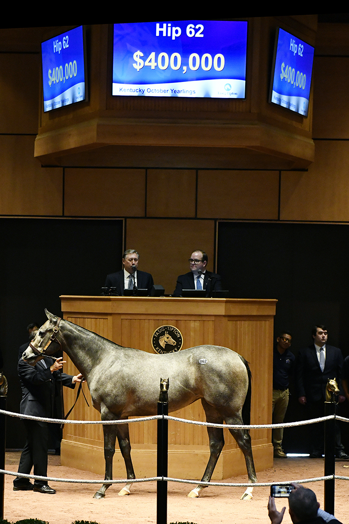 Hip 62 - Medaglia d-Oro out of Appealing Bride - sells 10.21.19 at Fasig-Tipton October