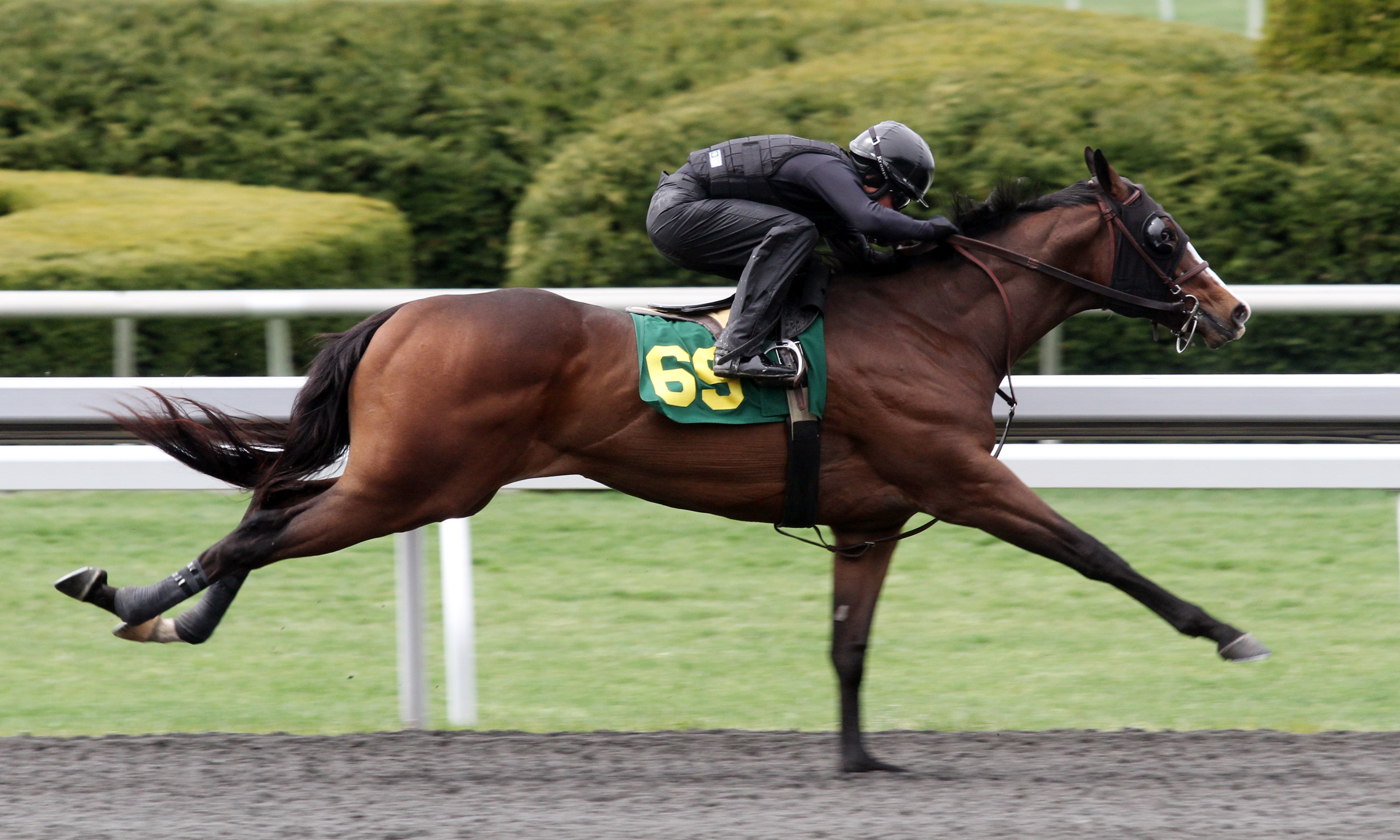 Sky Mesa colt breezes at Keeneland