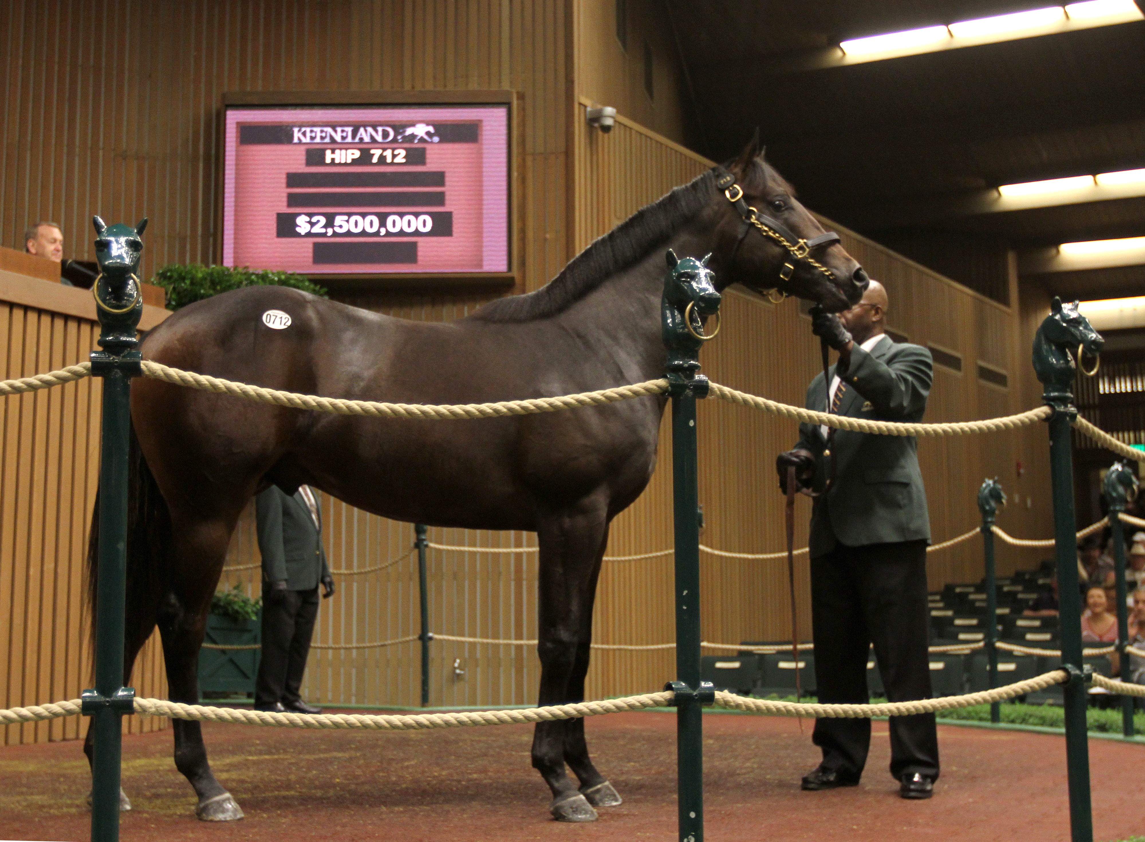 War Front colt sells for $2.5 million at Keeneland September