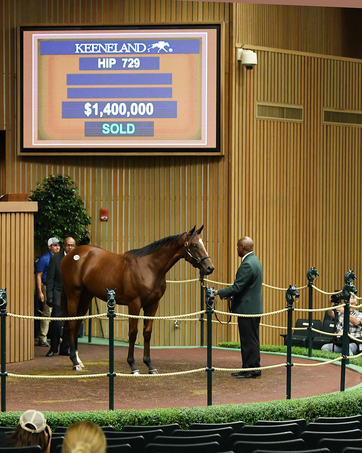 An American Pharoah - Bsharpsonata colt sells for $1.4 million