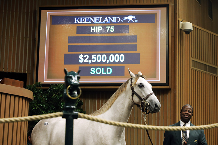 Hip 75, a Tapit-Seeking Gabrielle colt, sold for $2.5 million at the Keeneland September Yearling sale