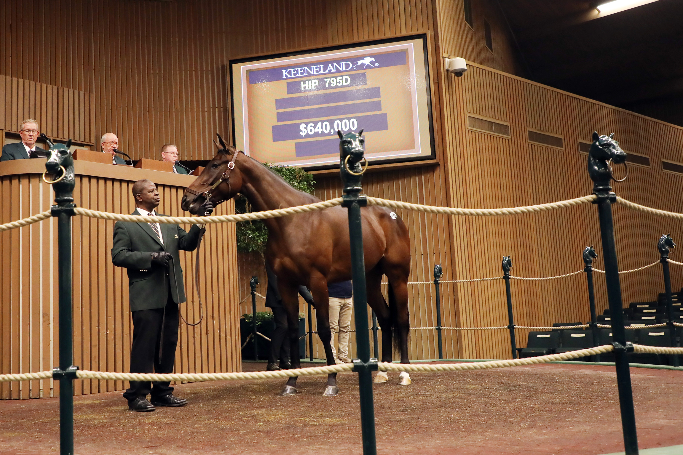 Hip 795 Enaya Alrabb sells at the 2020 Keeneland January sale