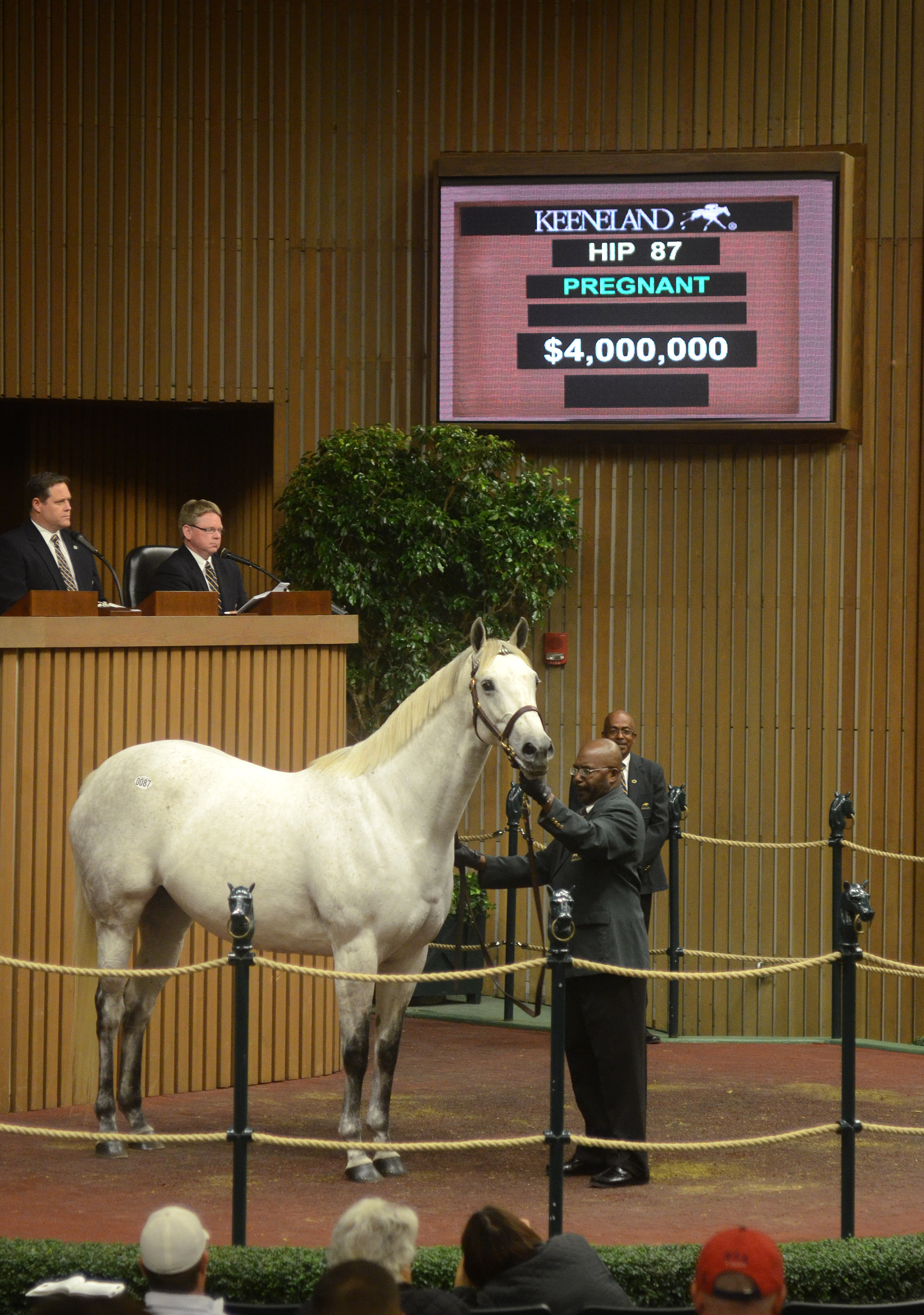 Keeneland November session one topper - Awesome Maria