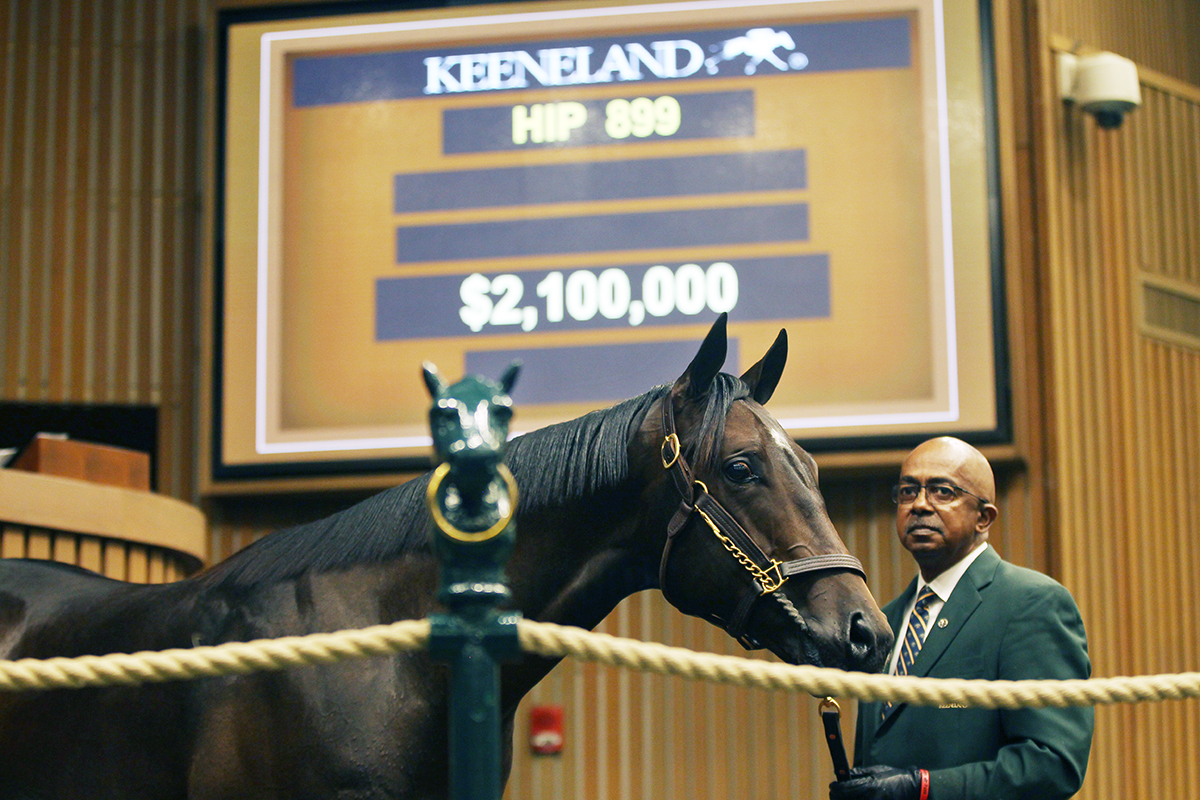 A Medaglia d-Oro Exotic Bloom colt sells at the Keeneland September Yearling Sale
