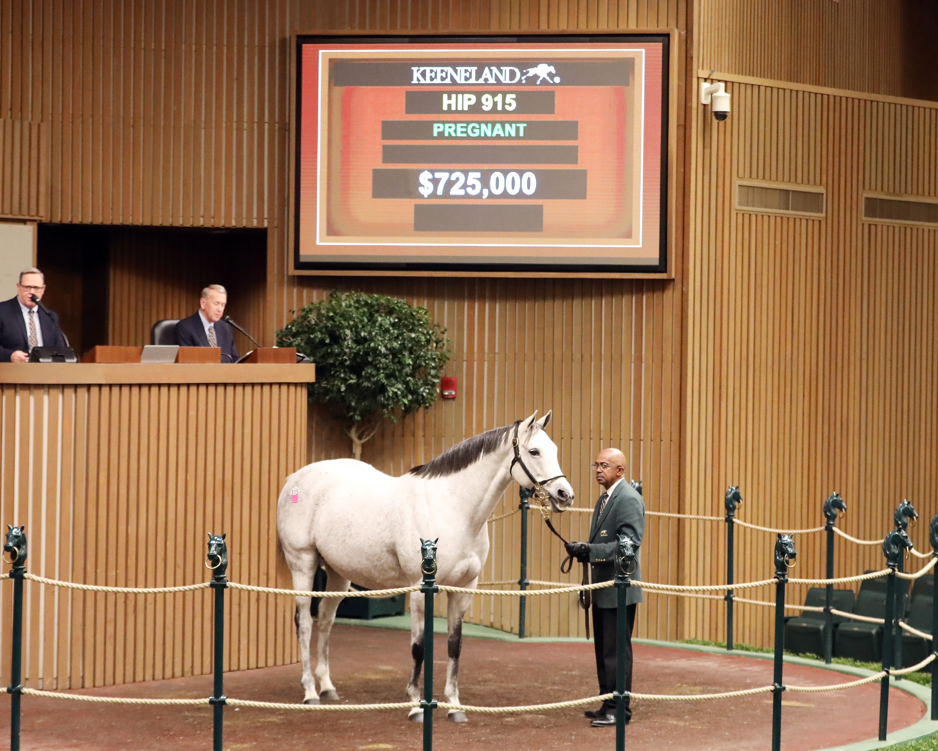 J. Quirk/Keeneland November