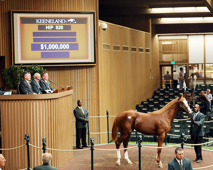 A Union Rags colt sells for $1 million at the Keeneland September yearling sale on Sept. 13