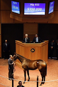 Hip 933 Fasig-Tipton 2018 Kentucky fall mixed sale Uncle Mo-Miss Luann