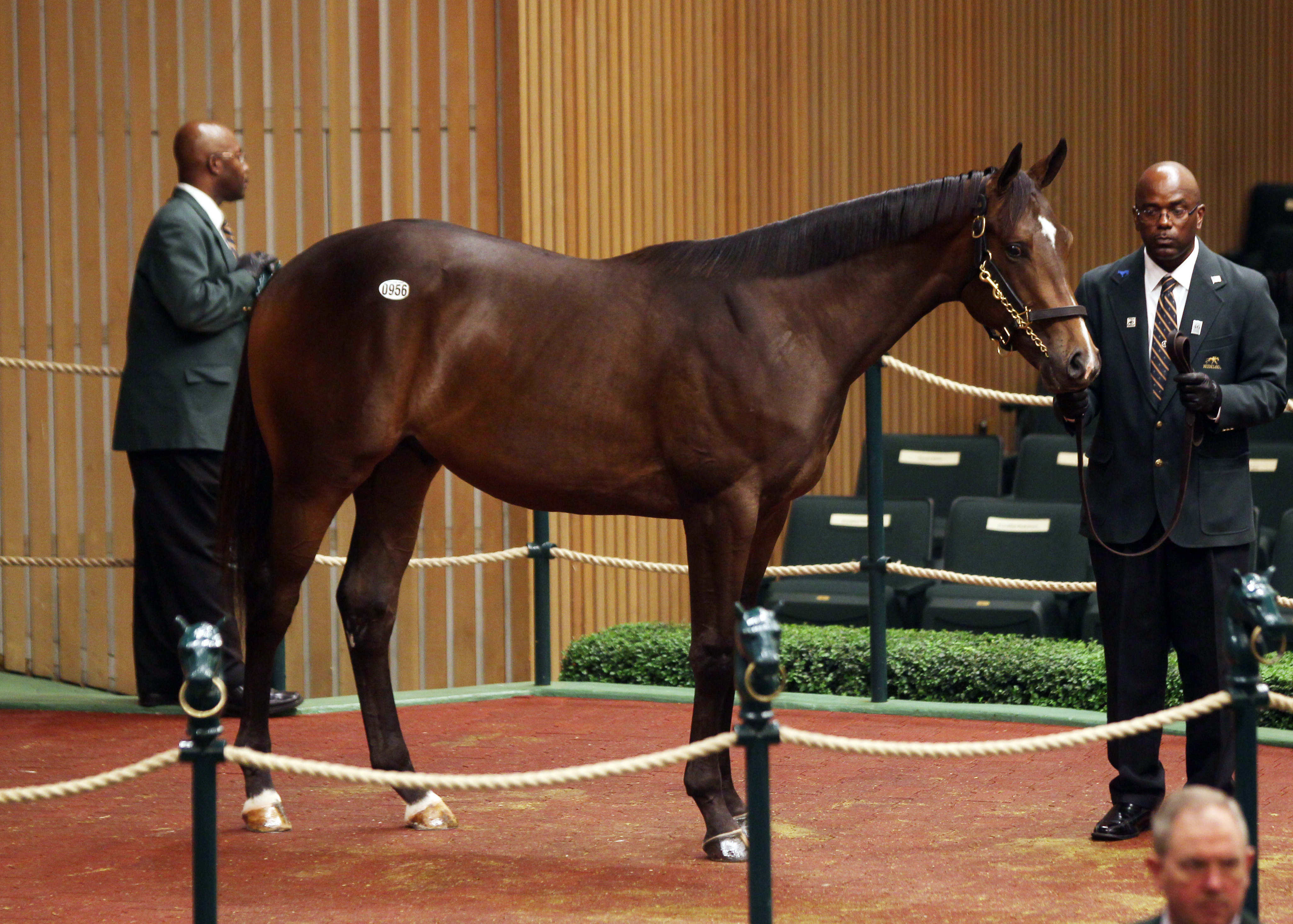 Keeneland sale: $1.1 million Empire Maker colt tops Day 4 session