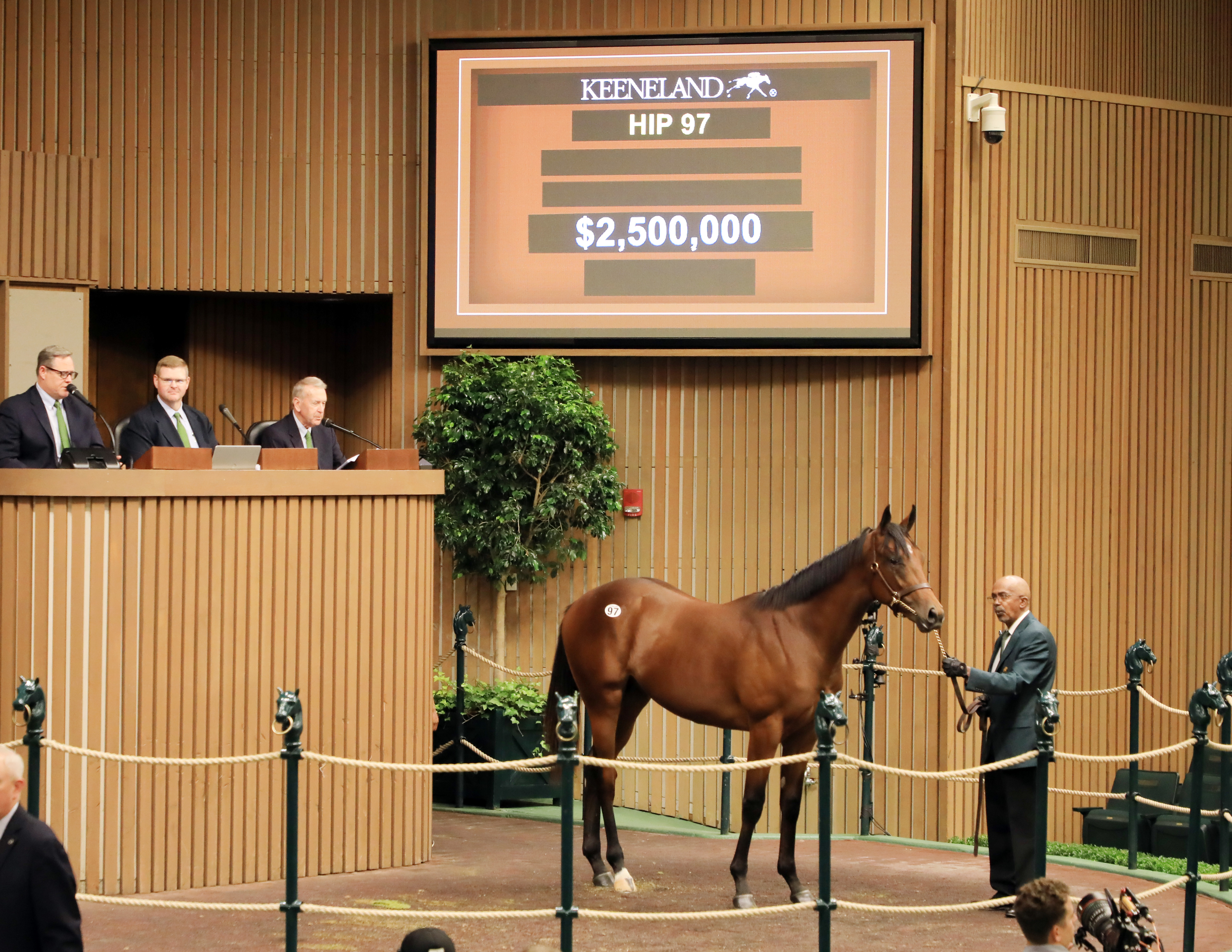 $2.5 million Quality Road colt/Keeneland September 2022